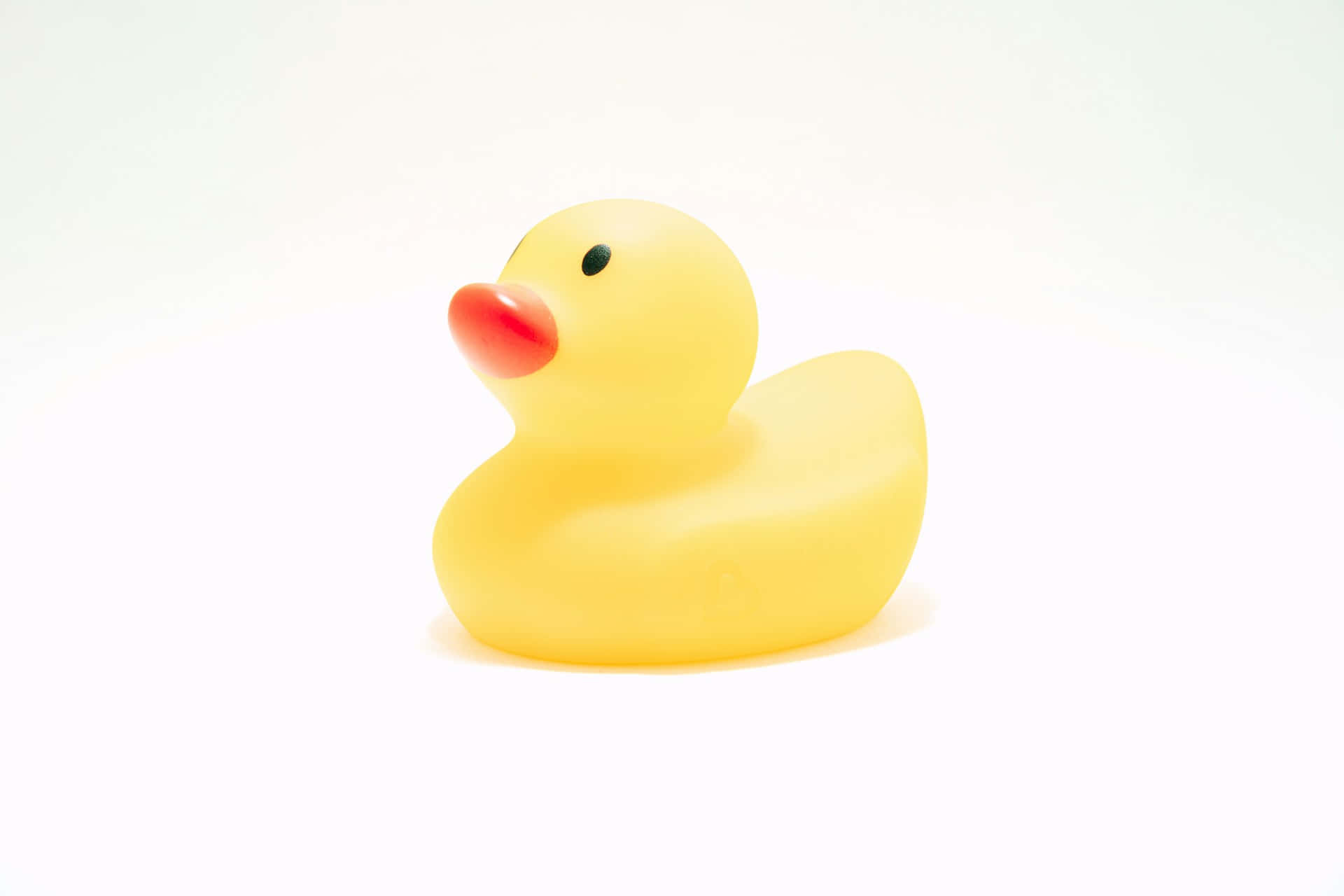 yellow rubber duck, red beak, black eye, Full HD Desktop Wallpaper