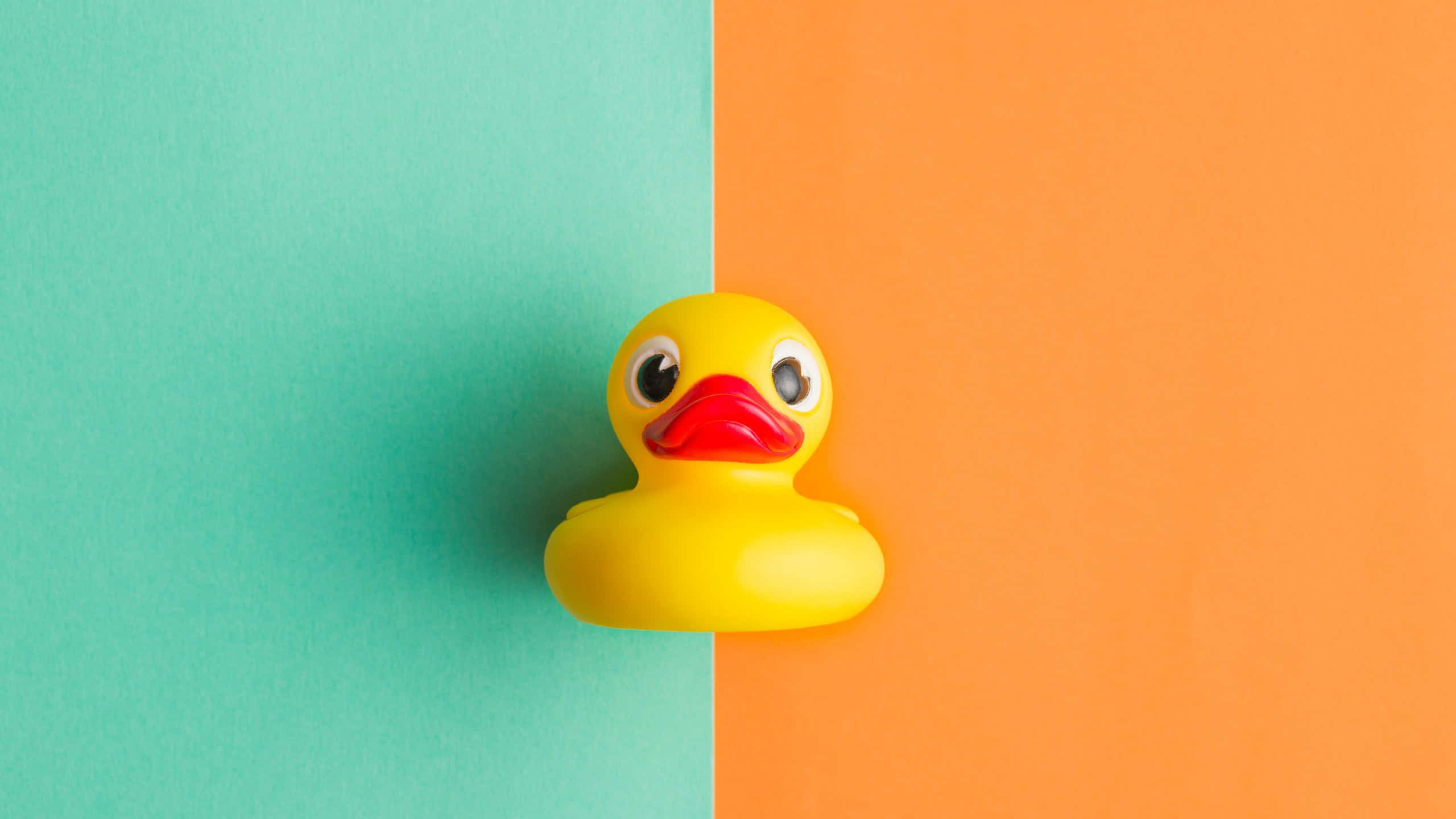 yellow rubber duck, teal background, orange background, 2K Desktop Wallpaper