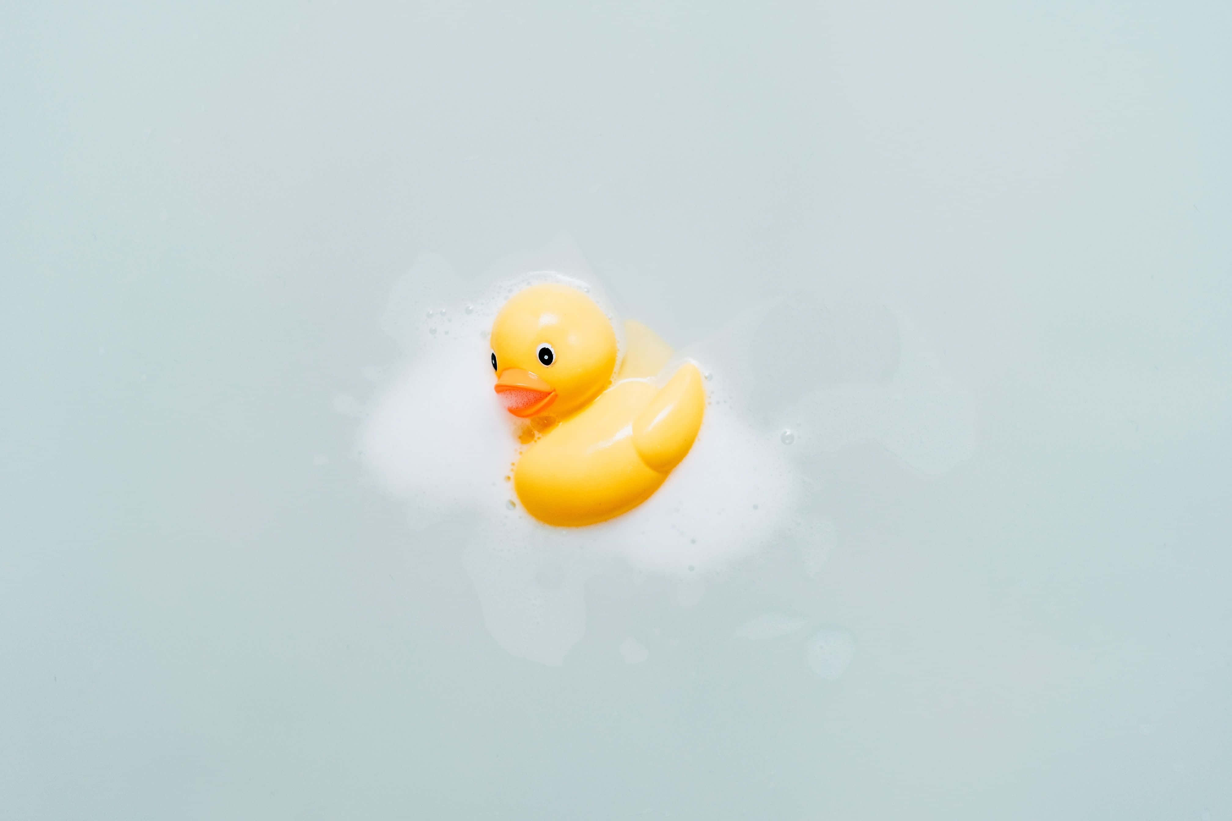 yellow rubber duck, bathwater, soapy, 4K Desktop Wallpaper
