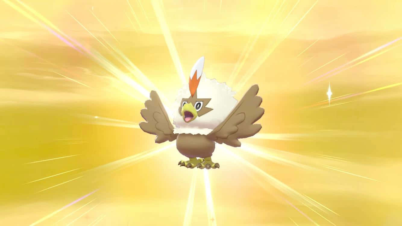 Rufflet, golden background, fiery bird, HD Desktop Wallpaper