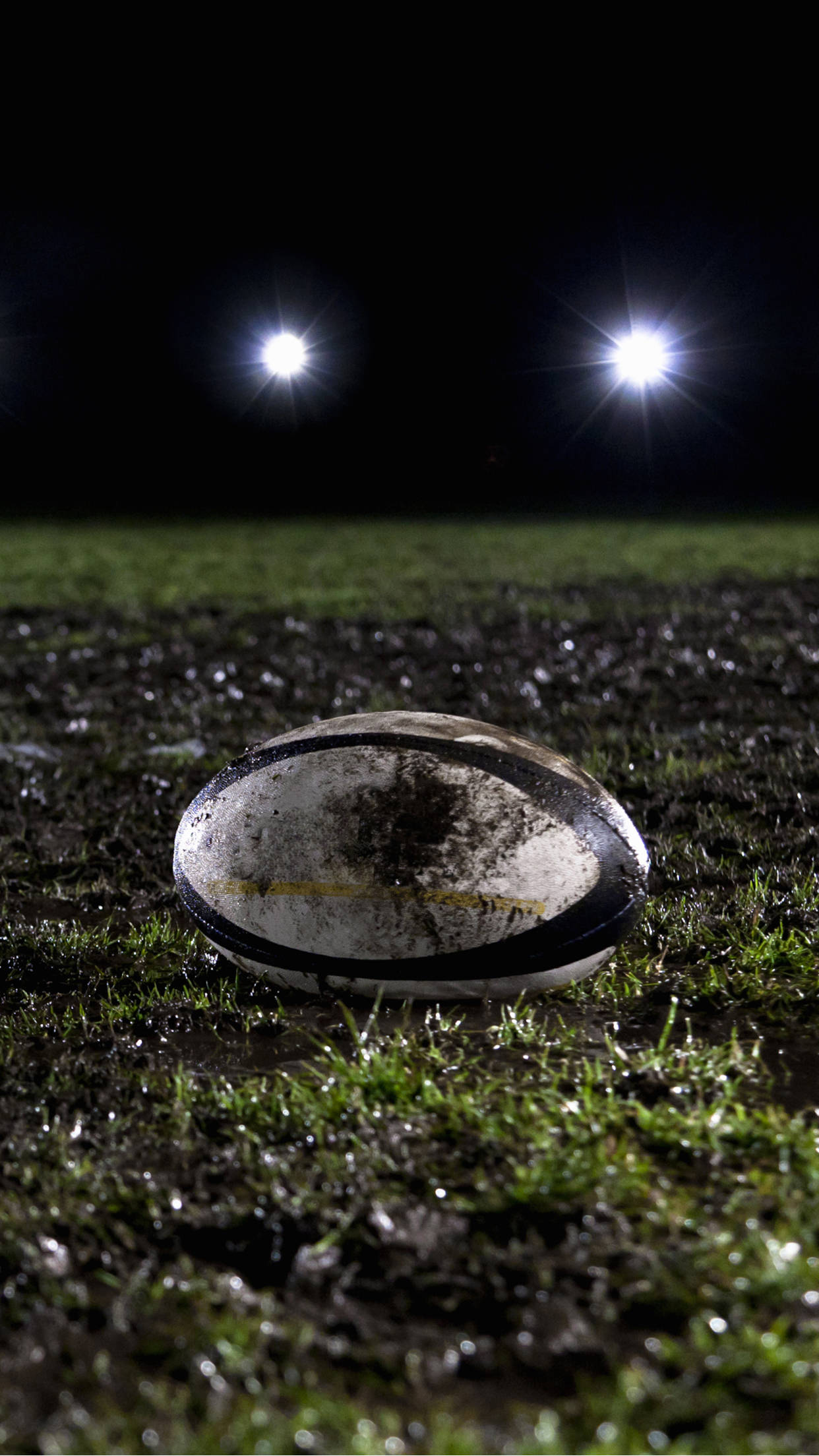 rugby ball, wet grass, bright stadium lights, Full HD Phone Wallpaper