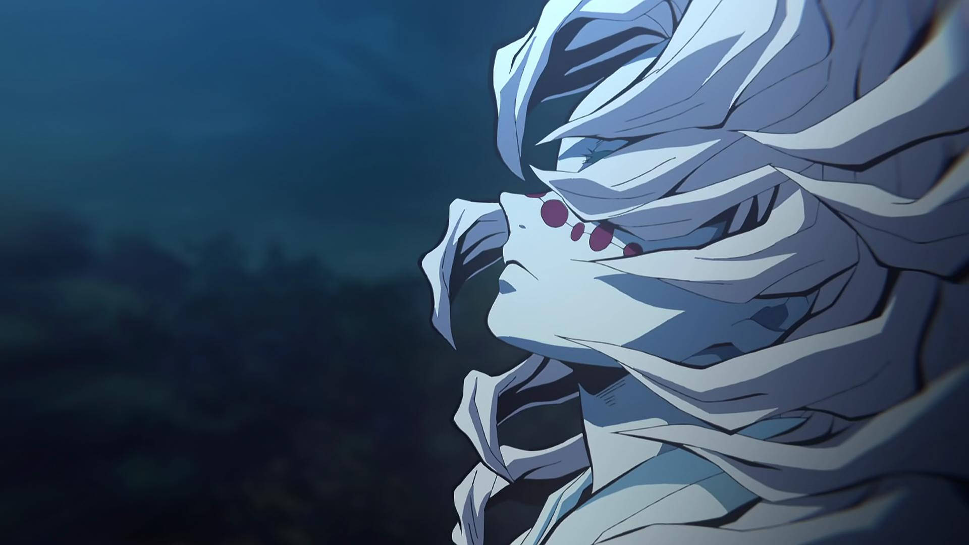 Rui, Demon Slayer, white hair, Full HD Desktop Wallpaper