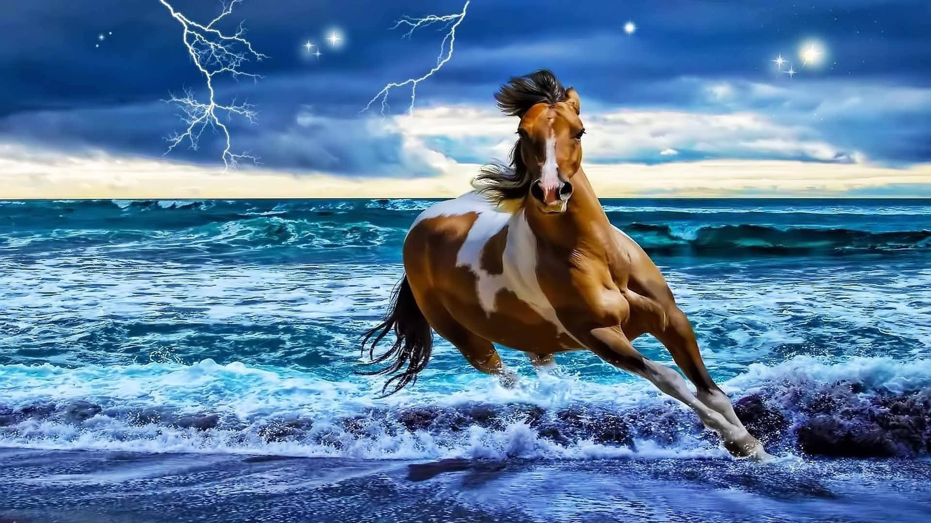 Brown Running Horse, Pinto horse, Crashing ocean waves, Full HD Desktop Wallpaper