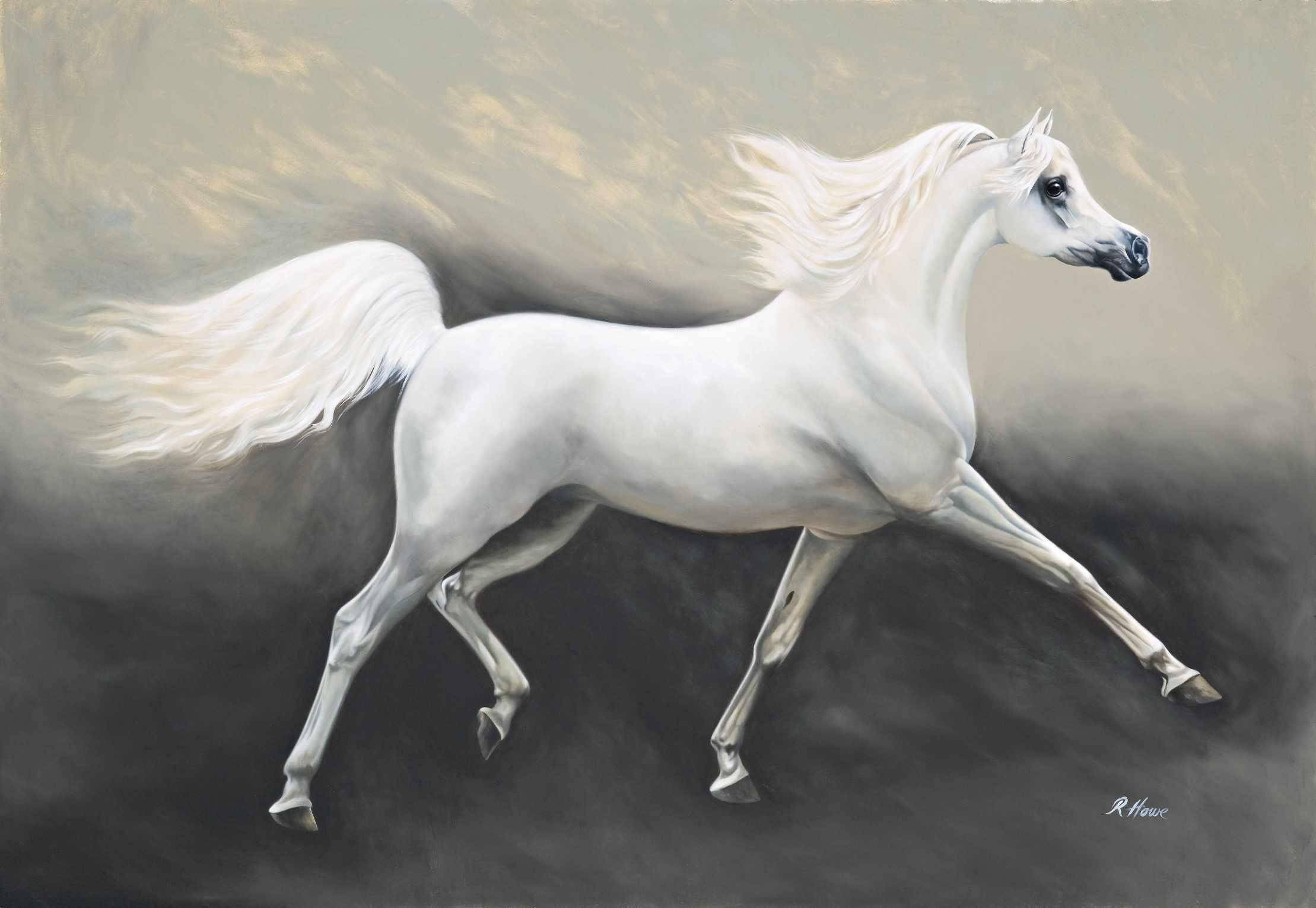 white running horse, smoky gray backdrop, flowing mane, Full HD Desktop Wallpaper