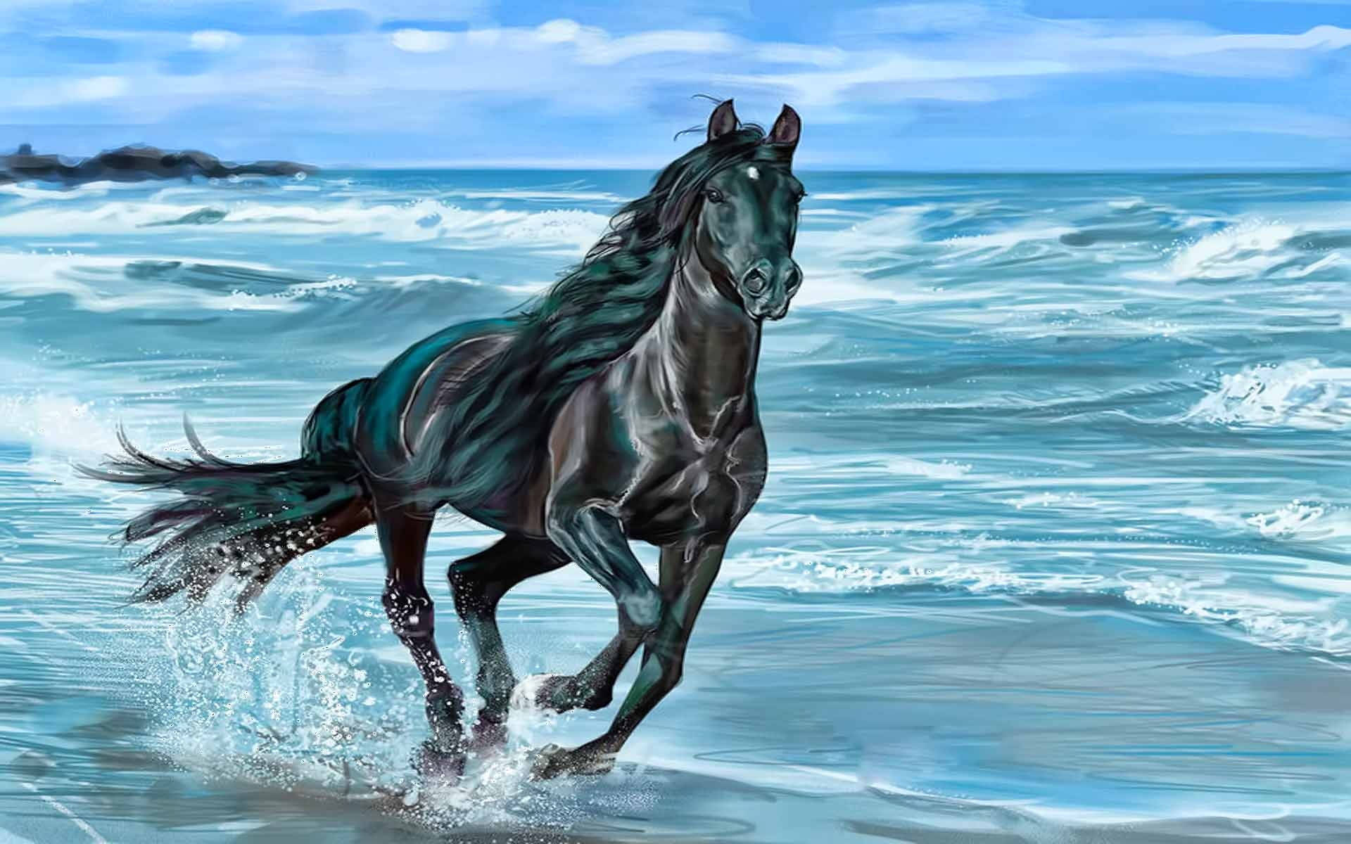 Running Horse, beach, black horse, Full HD Desktop Wallpaper