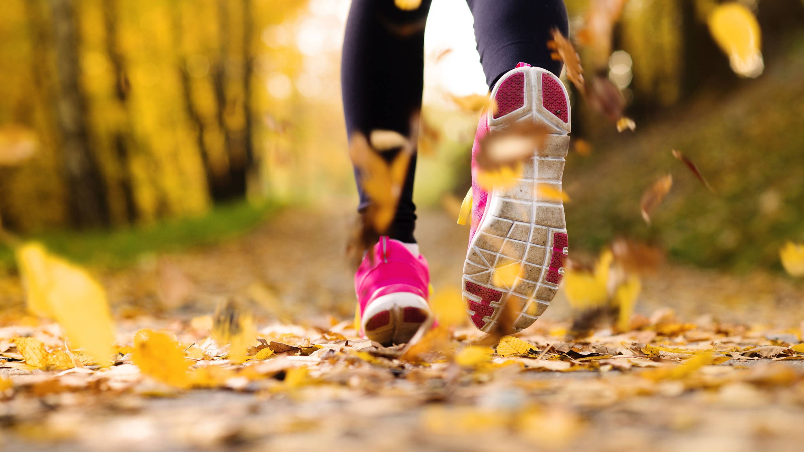 bright pink sneakers, golden autumn leaves, forest trail, 2K Desktop Wallpaper