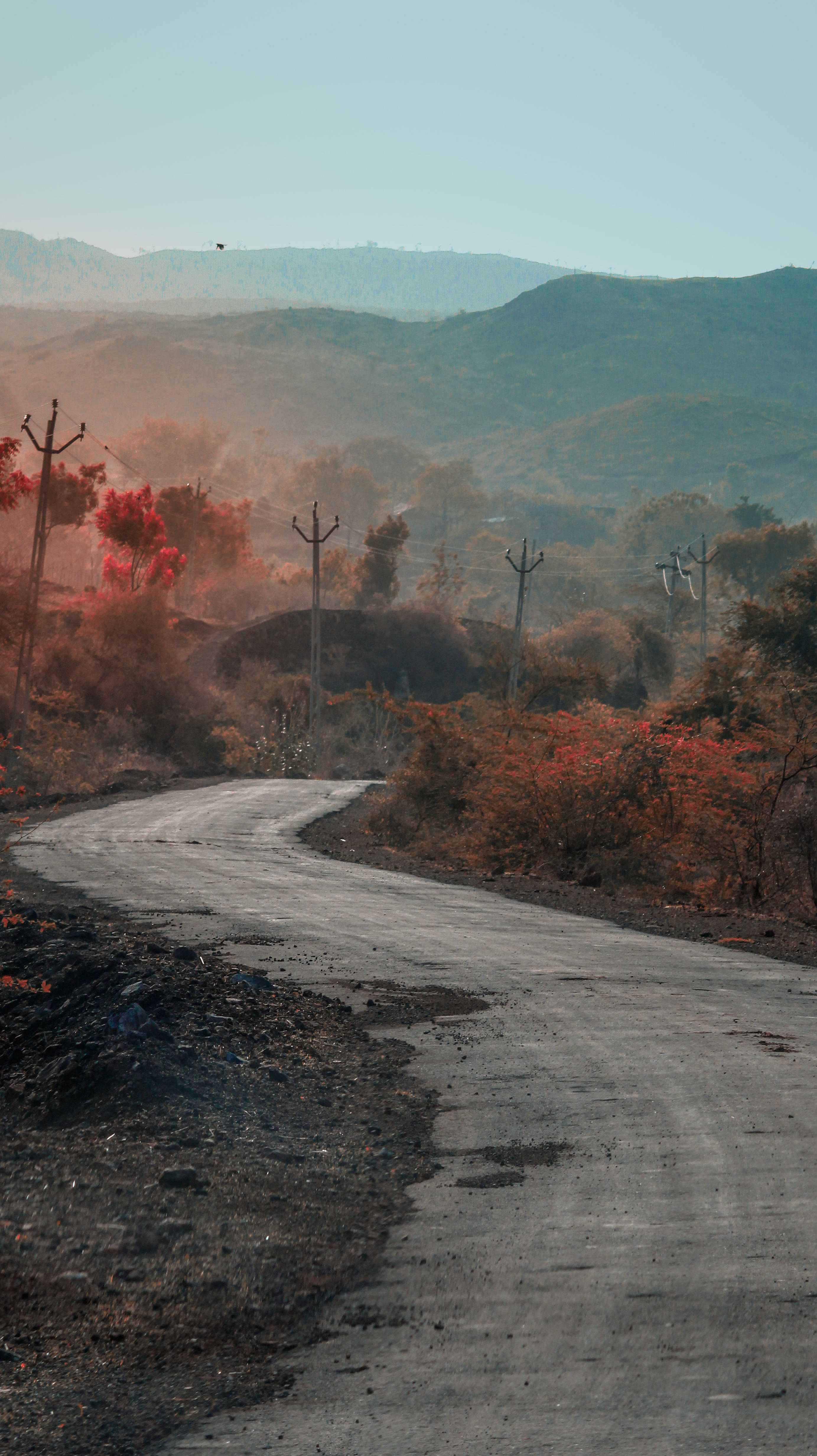 scenic rural road, autumn hillsides, fiery red foliage, 4K Phone Wallpaper
