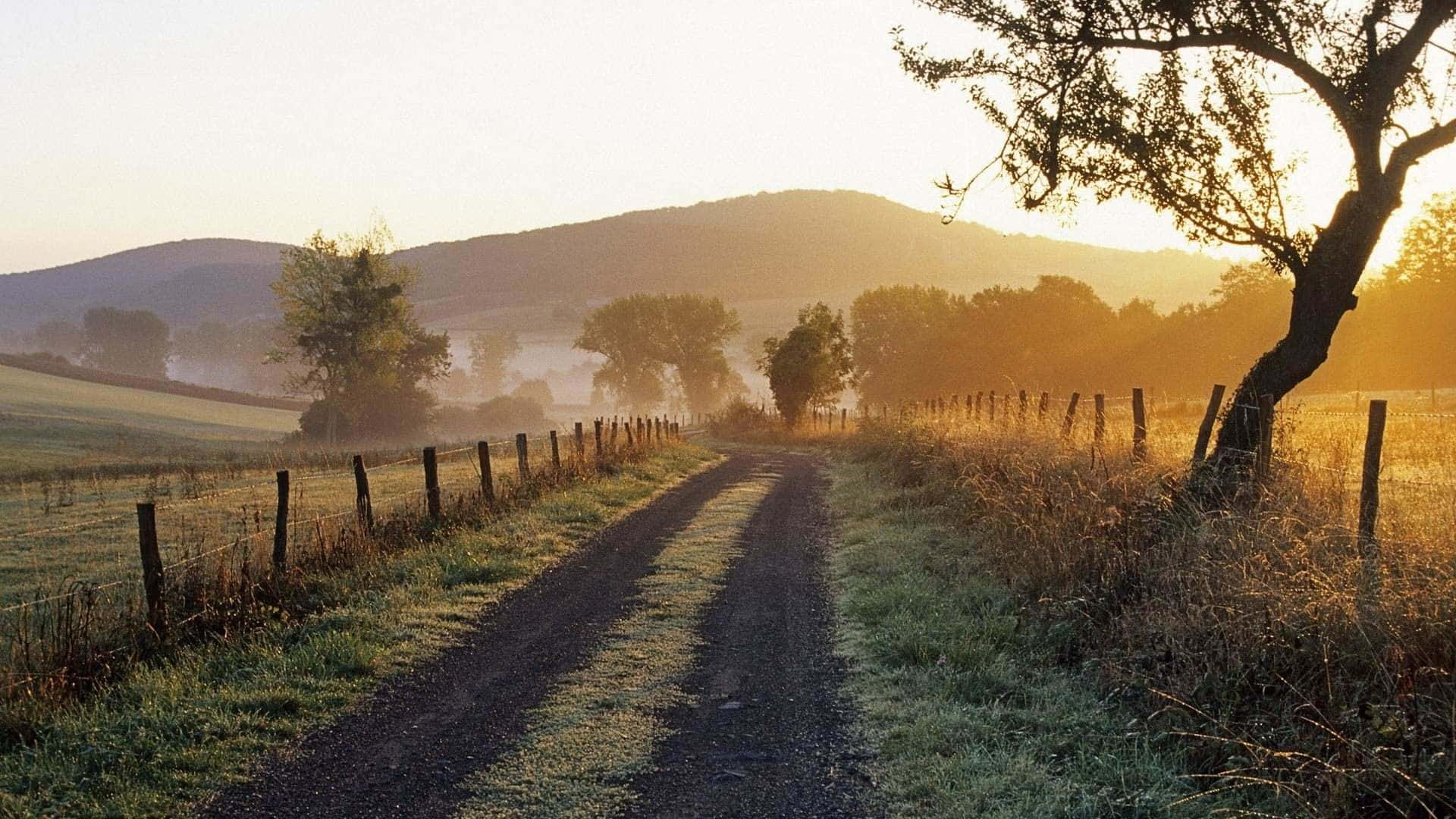 misty rural road, golden fields, sunrise, Full HD Desktop Wallpaper