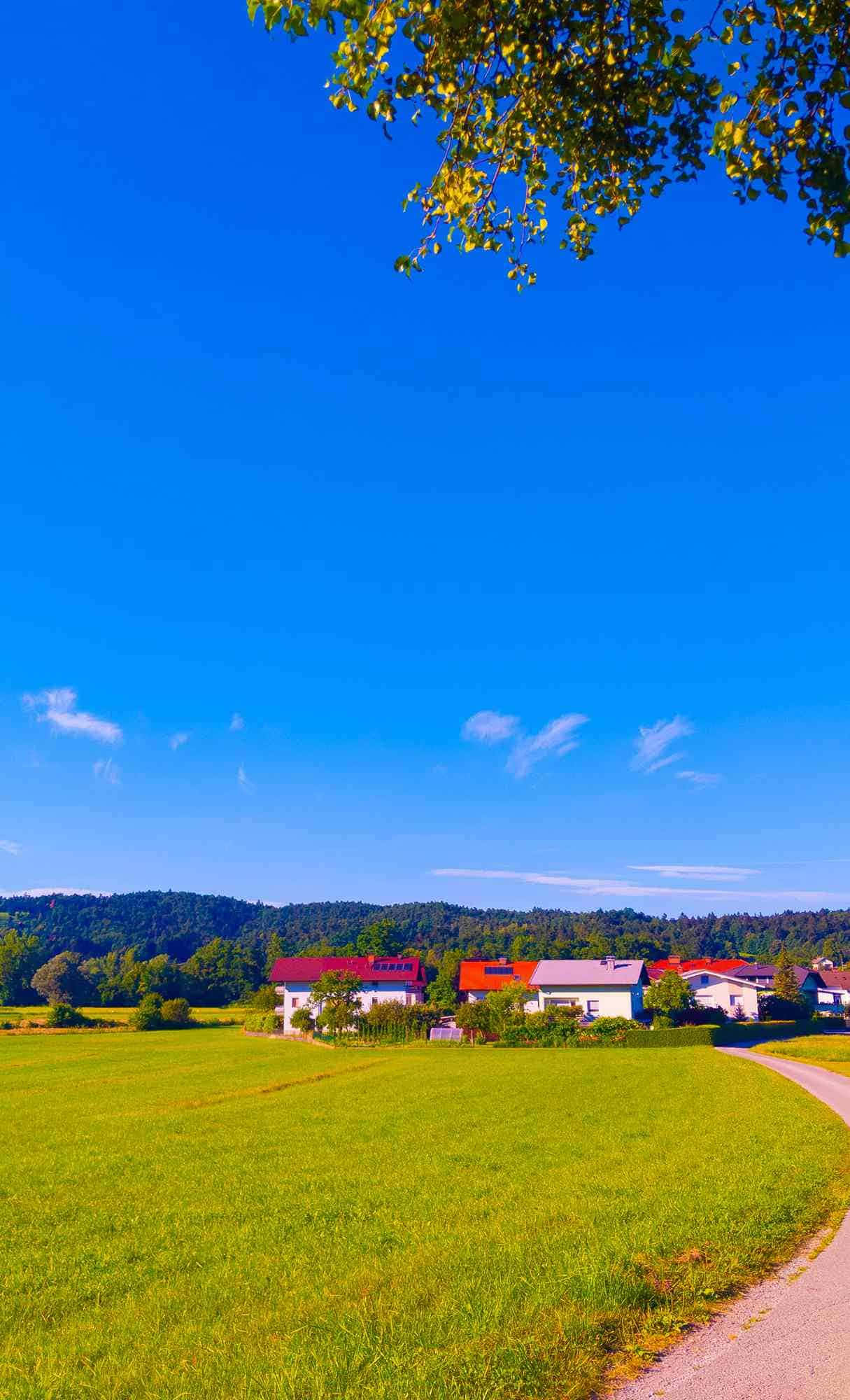 idyllic countryside path, vibrant green field, red-roofed houses, Full HD Phone Wallpaper