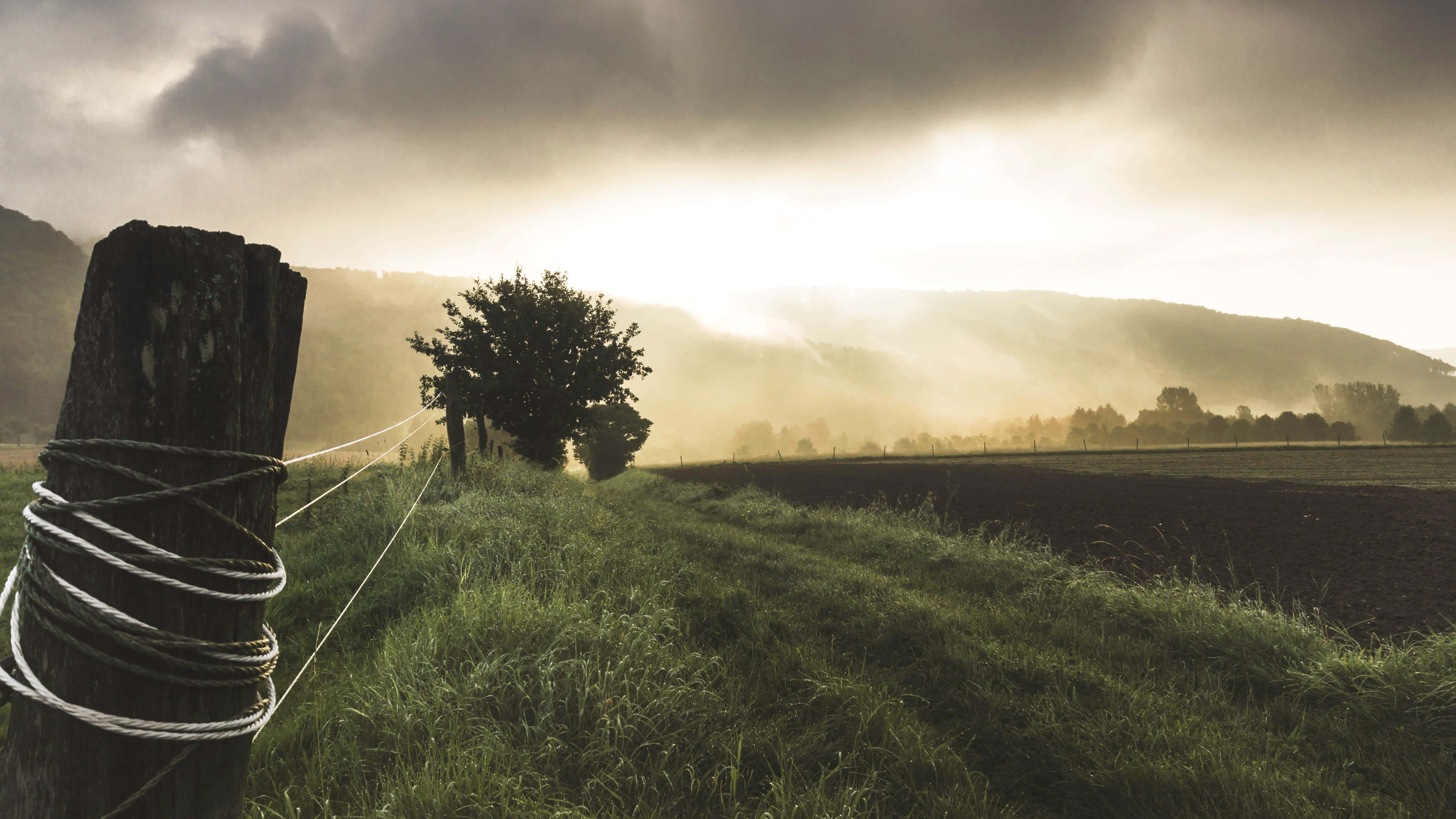 weathered wooden fence post, rope, misty green field, 5K Desktop Wallpaper