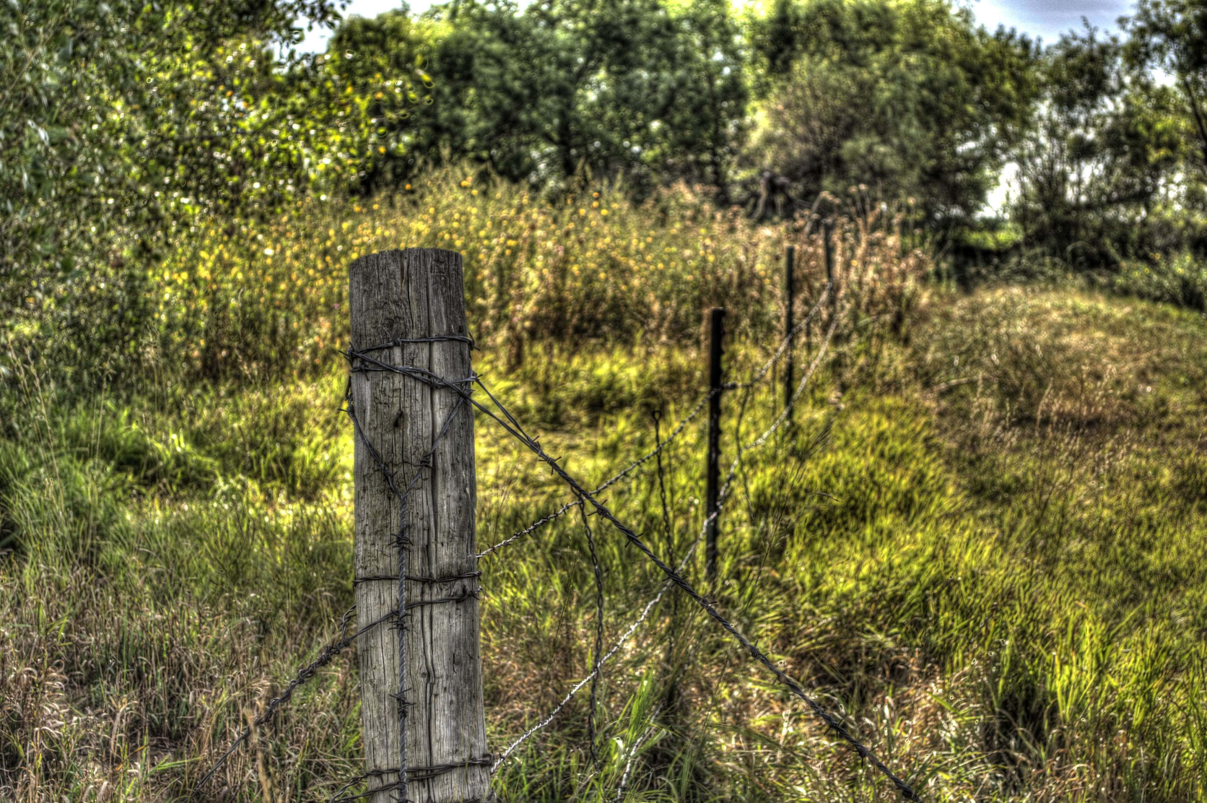 weathered wooden fence post, barbed wire, sunlit field, 4K Desktop Wallpaper