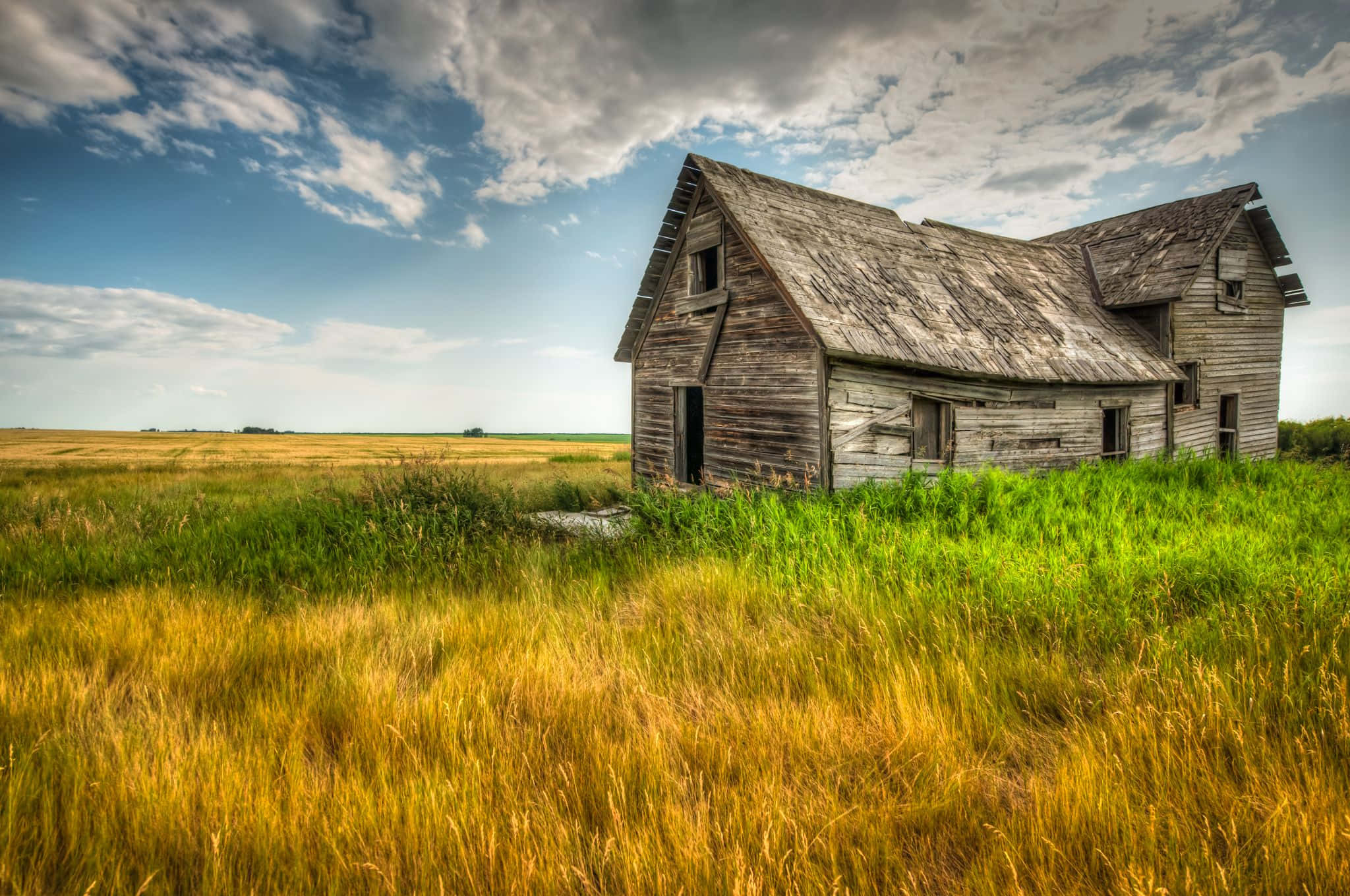 abandoned wooden farmhouse, vast field of golden wheat, dramatic cloudy sky, Full HD Desktop Wallpaper