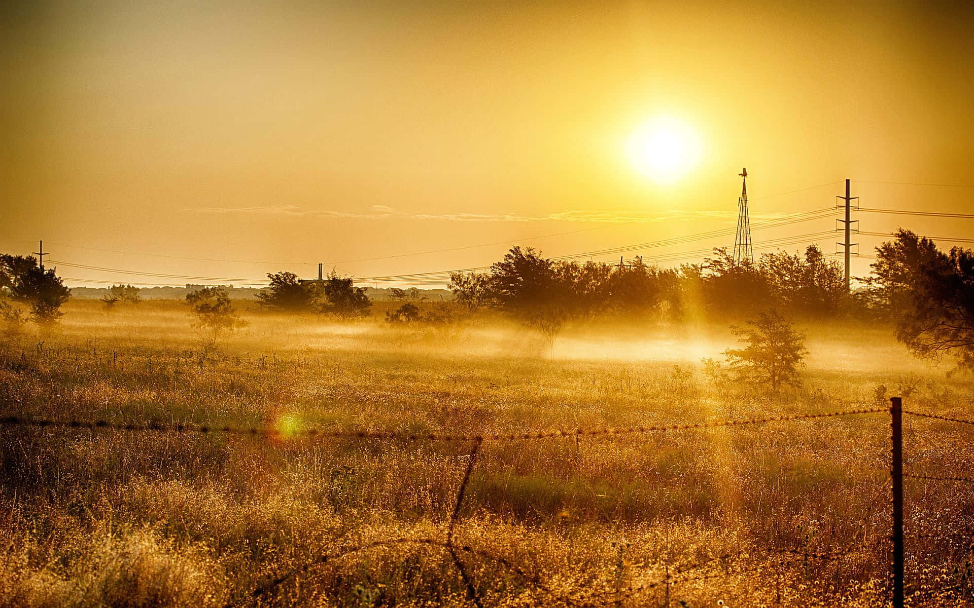 golden sunrise, misty rural field, barbed wire fence, Full HD Desktop Wallpaper