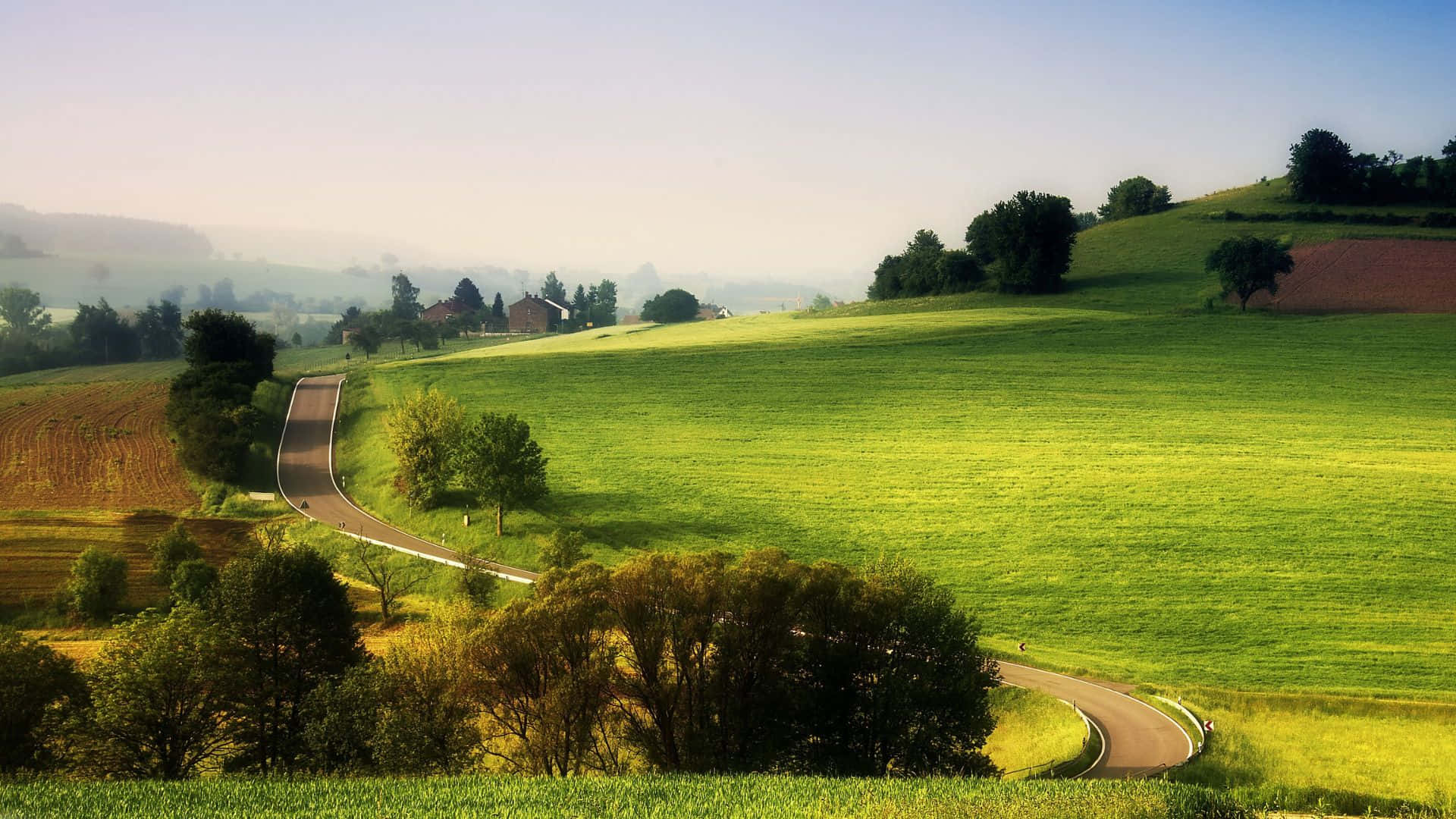 winding road, vibrant green hills, trees, Full HD Desktop Wallpaper