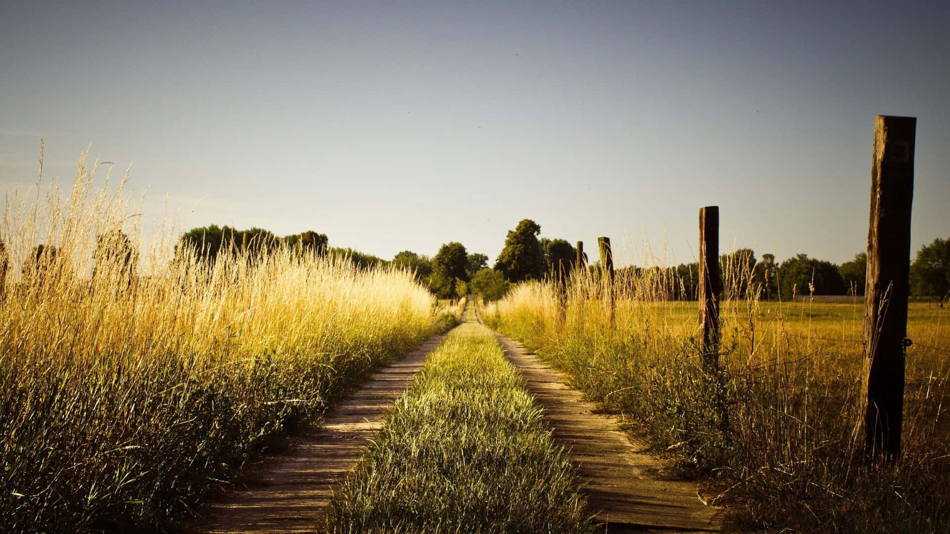 rustic country road, wooden boardwalk, tall golden grasses, Full HD Desktop Wallpaper