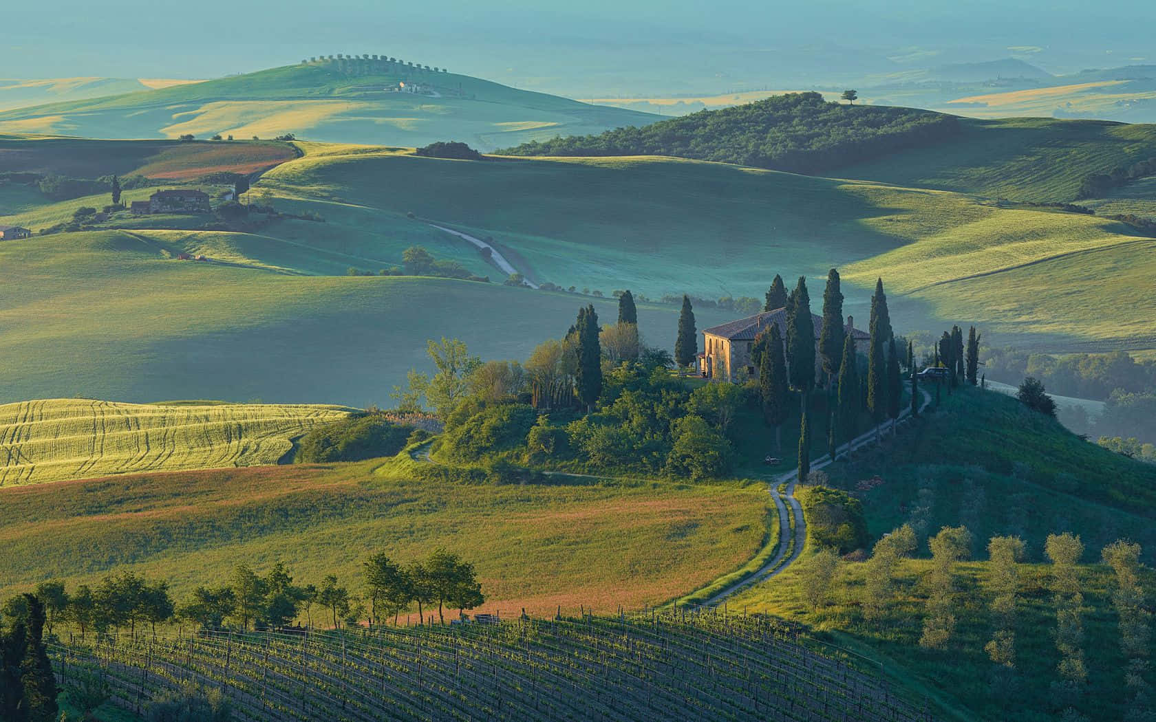 Tuscan hillside, vineyards, rolling green hills, HD Desktop Wallpaper