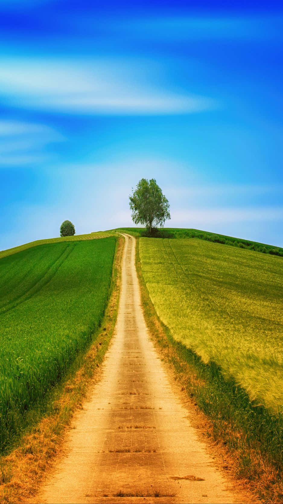 golden sunset, winding dirt path, vibrant green hill, HD Phone Wallpaper