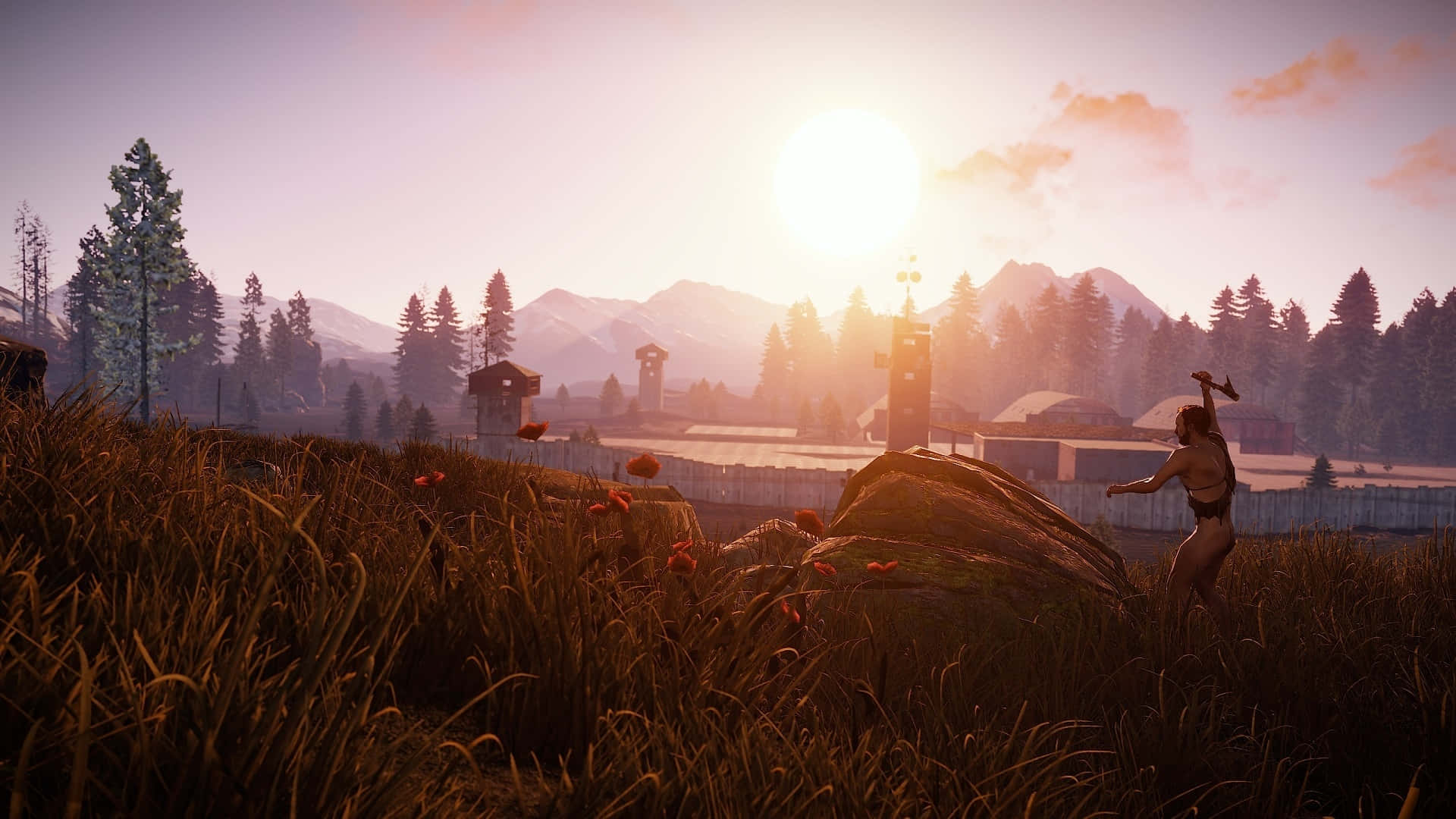 Rust Game, sunset, tall grass, Full HD Desktop Wallpaper