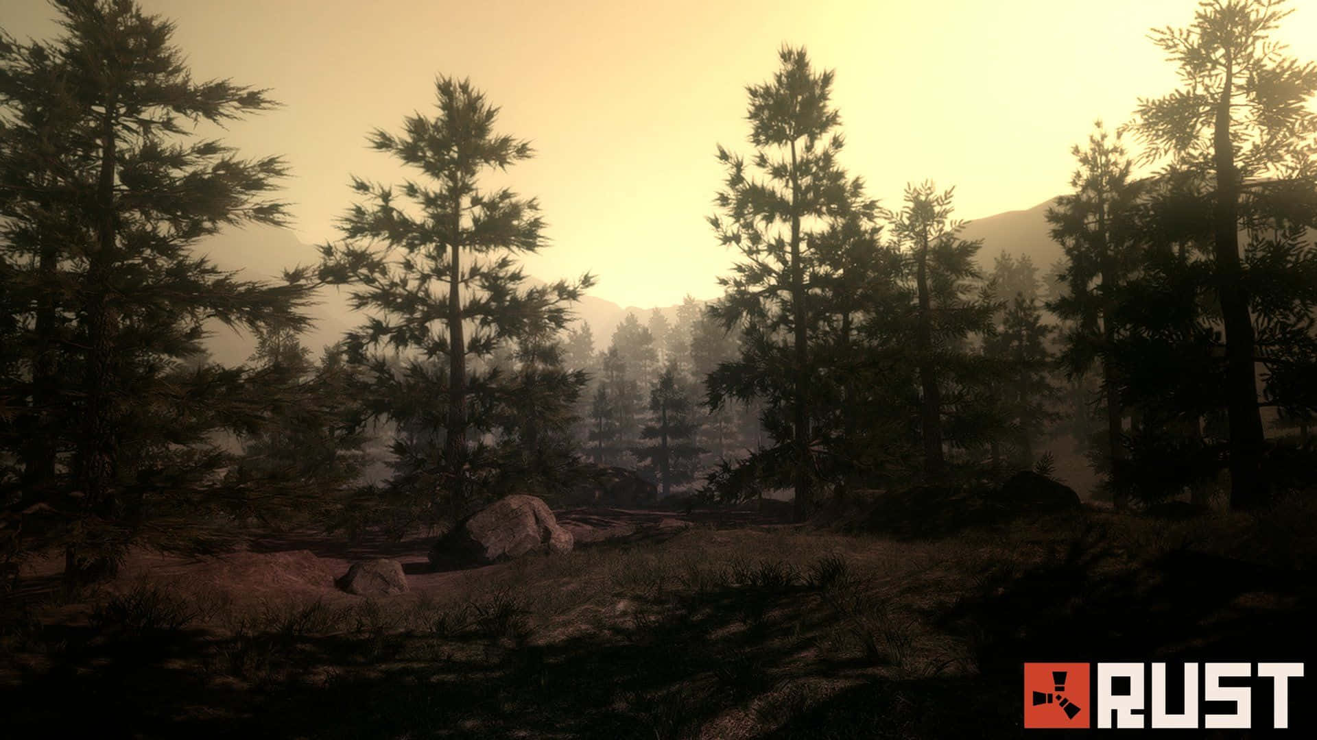 Rust Game, Sunlight, tall pine trees, Full HD Desktop Wallpaper