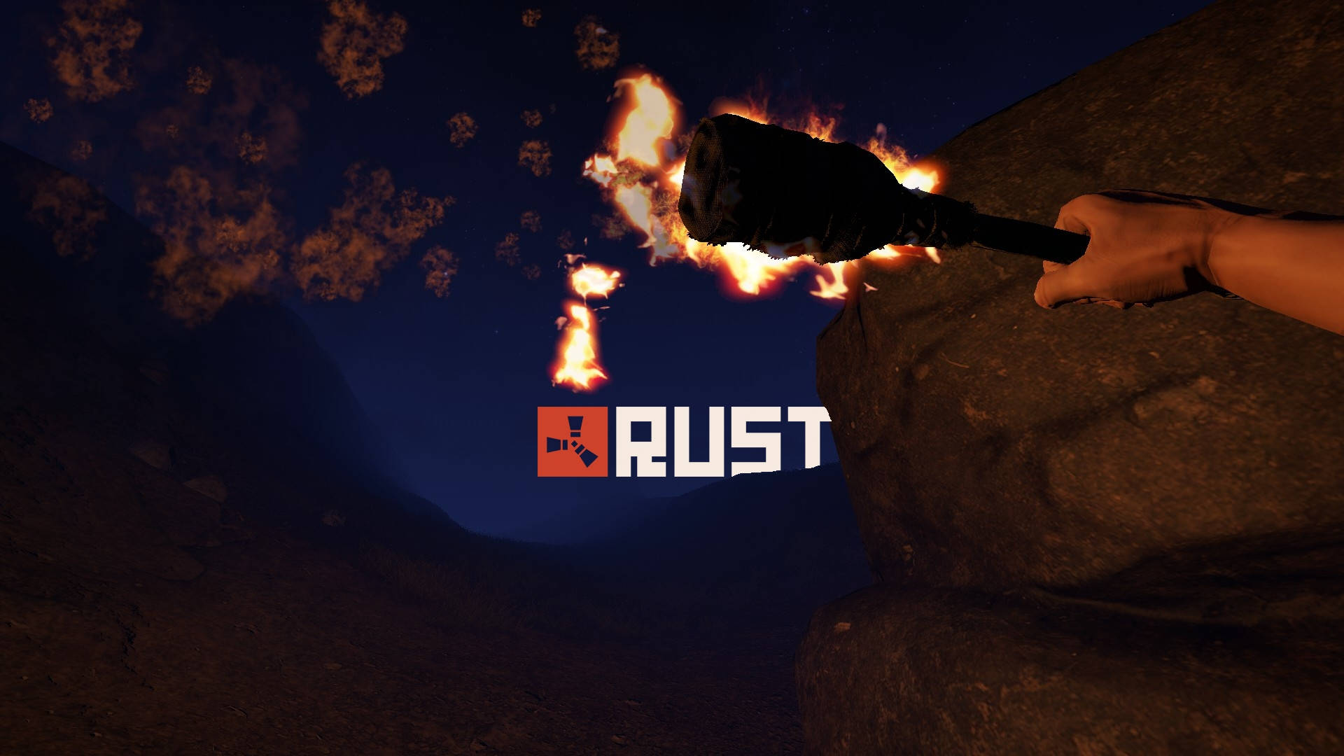 RUST, flaming torch, dark rocky canyon, Full HD Desktop Wallpaper