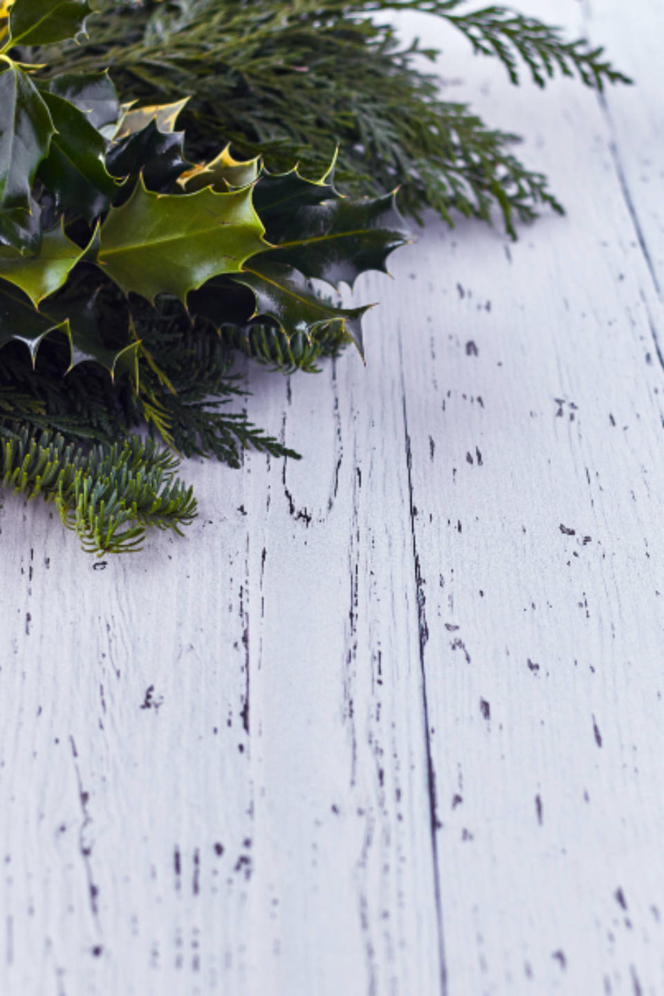 Rustic Christmas Leaves, holly branches, fir branches, HD Phone Wallpaper