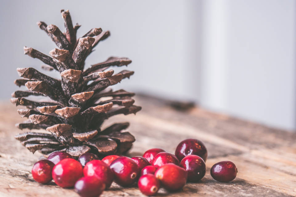 rustic christmas, acorn, cranberries, SD Desktop Wallpaper