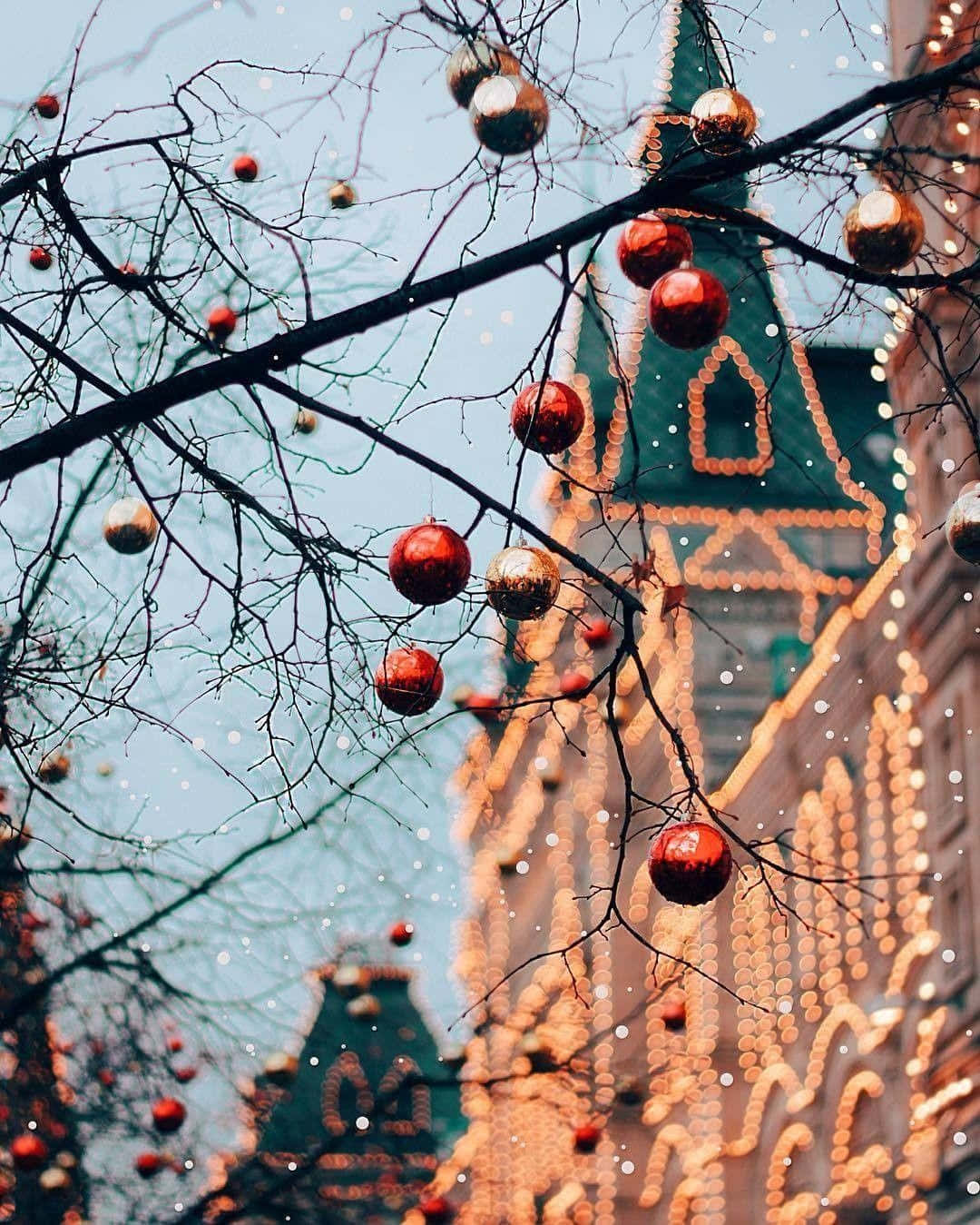 vintage winter holiday decorations, red and gold ornaments, bare tree branches, HD Phone Wallpaper