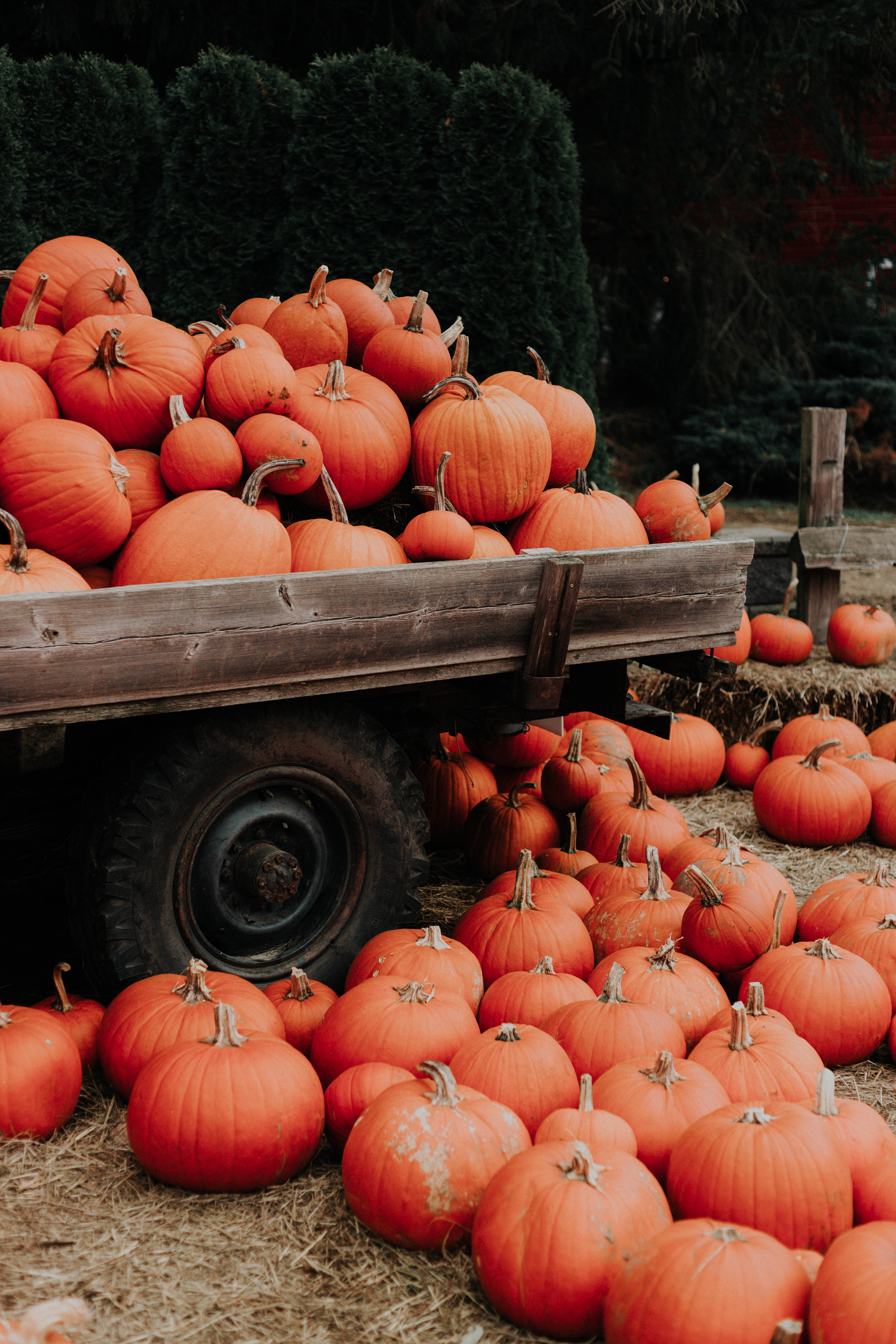 rustic wooden table, traditional Thanksgiving feast, rustic wooden wagon, 5K Phone Wallpaper
