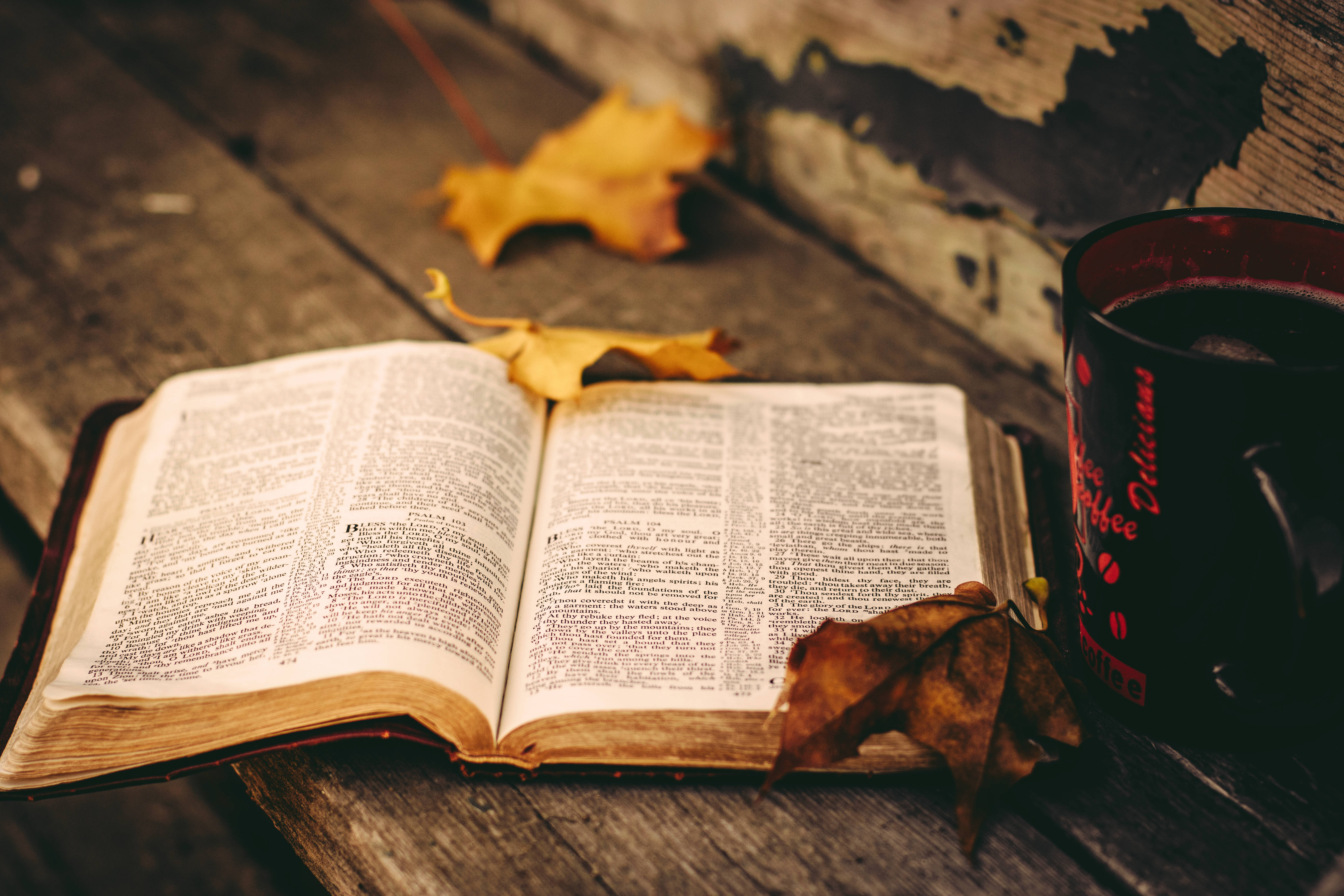 opened bible, rustic fall leaves, weathered wooden table, 5K Desktop Wallpaper