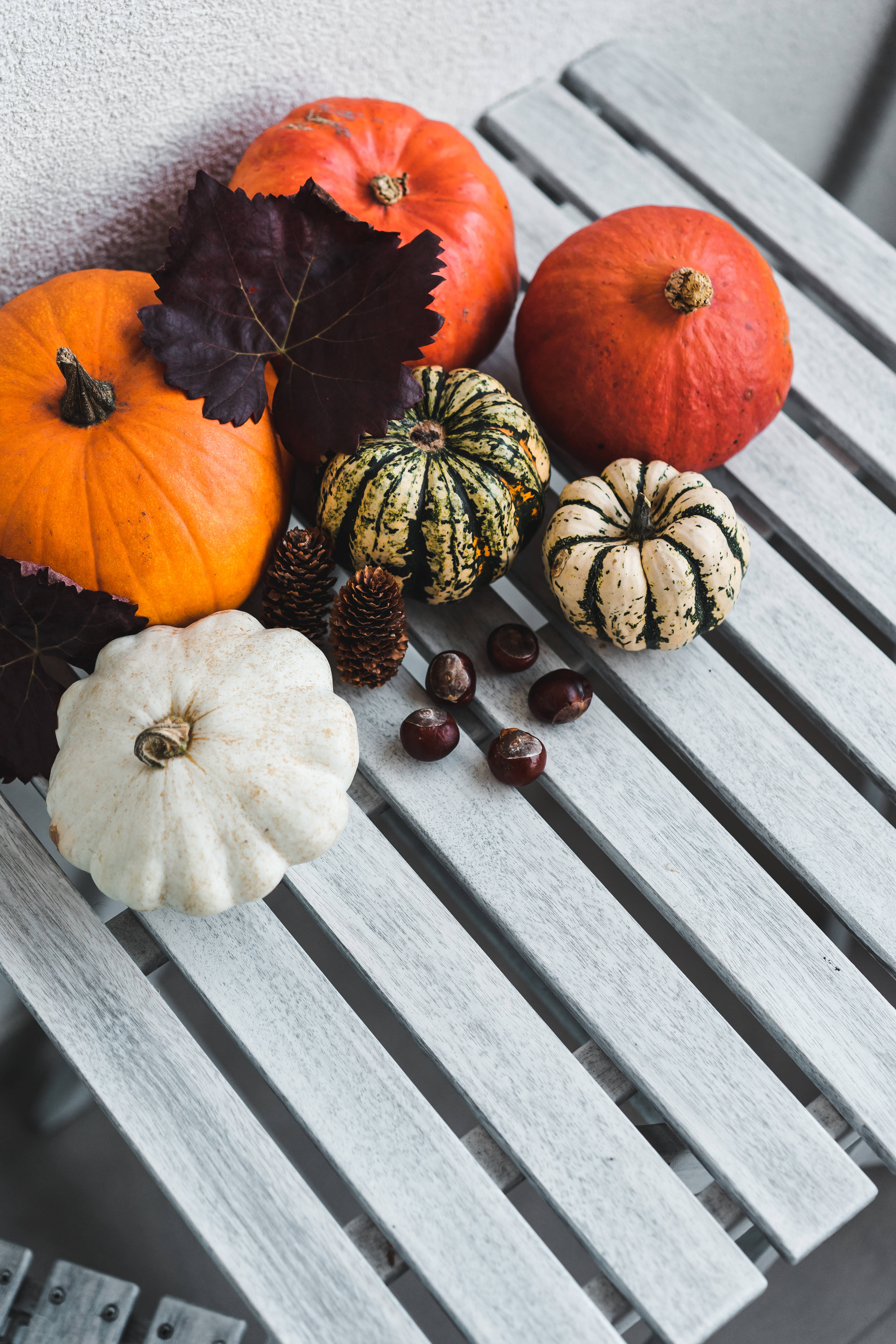 colored rustic fall pumpkins, weathered gray wooden slatted table, deep purple leaves, 4K Phone Wallpaper