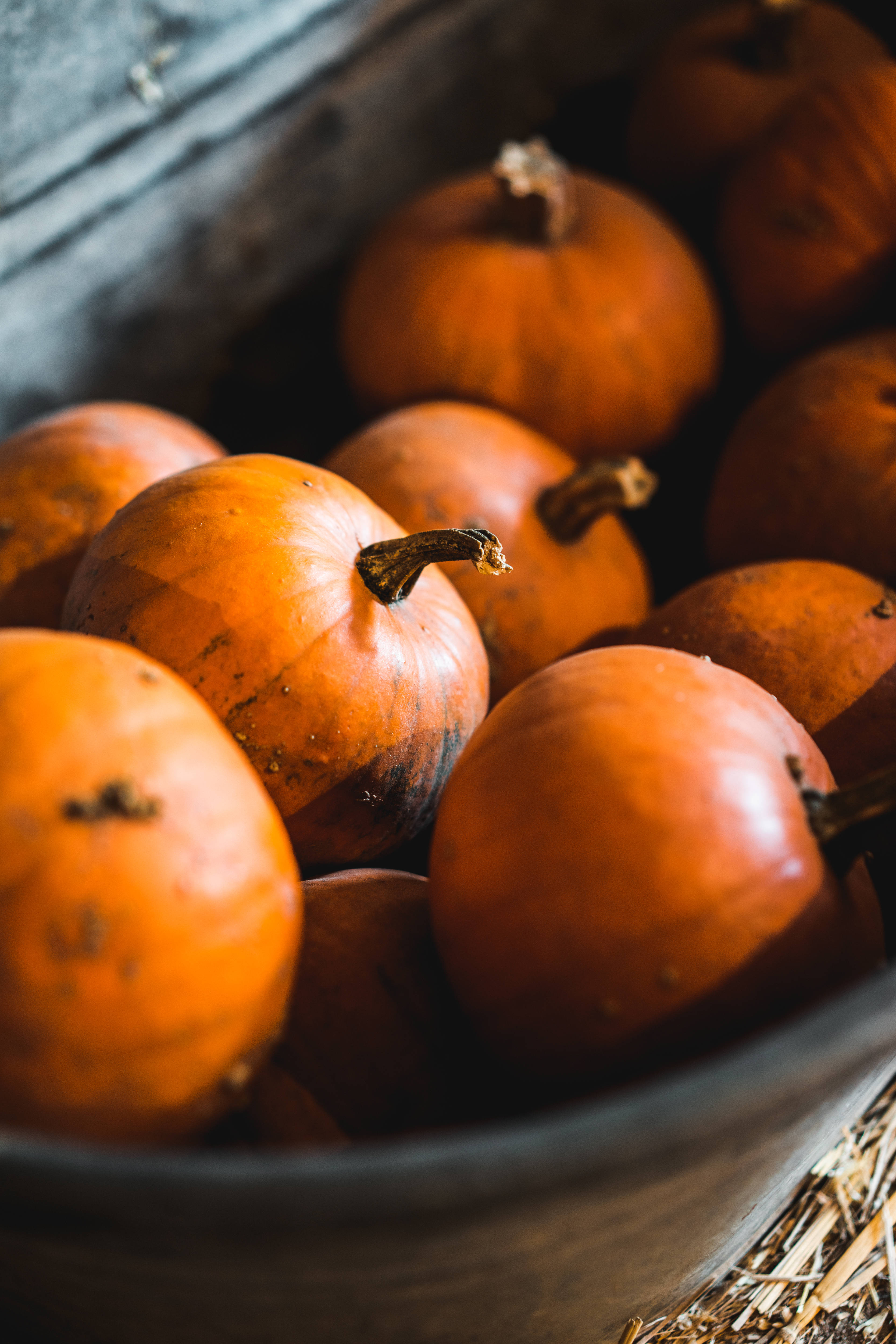 rustic fall, pumpkins, wooden bowl, 4K Phone Wallpaper