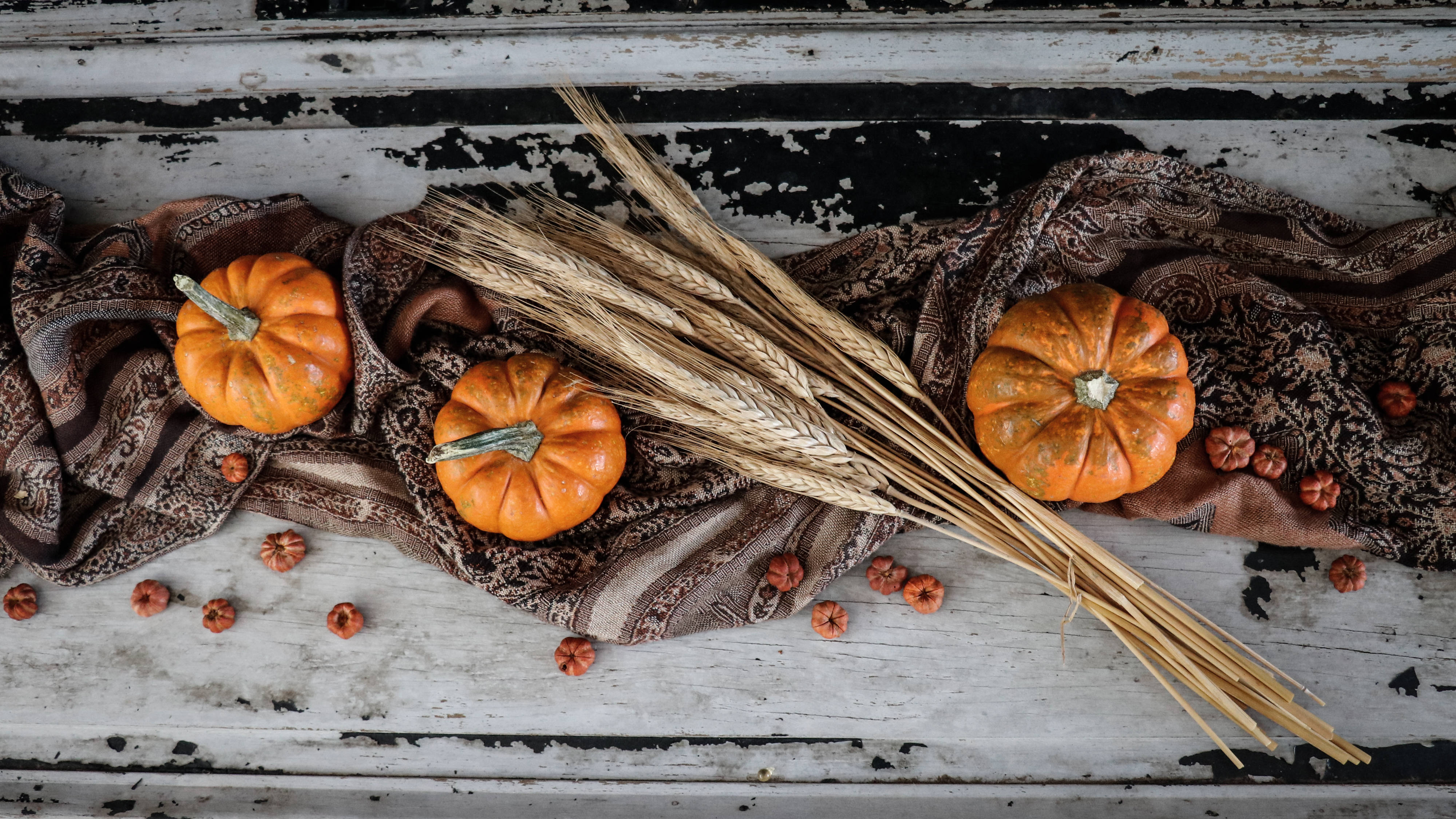 Rustic Fall, pumpkin, wheat straws, 4K Desktop Wallpaper