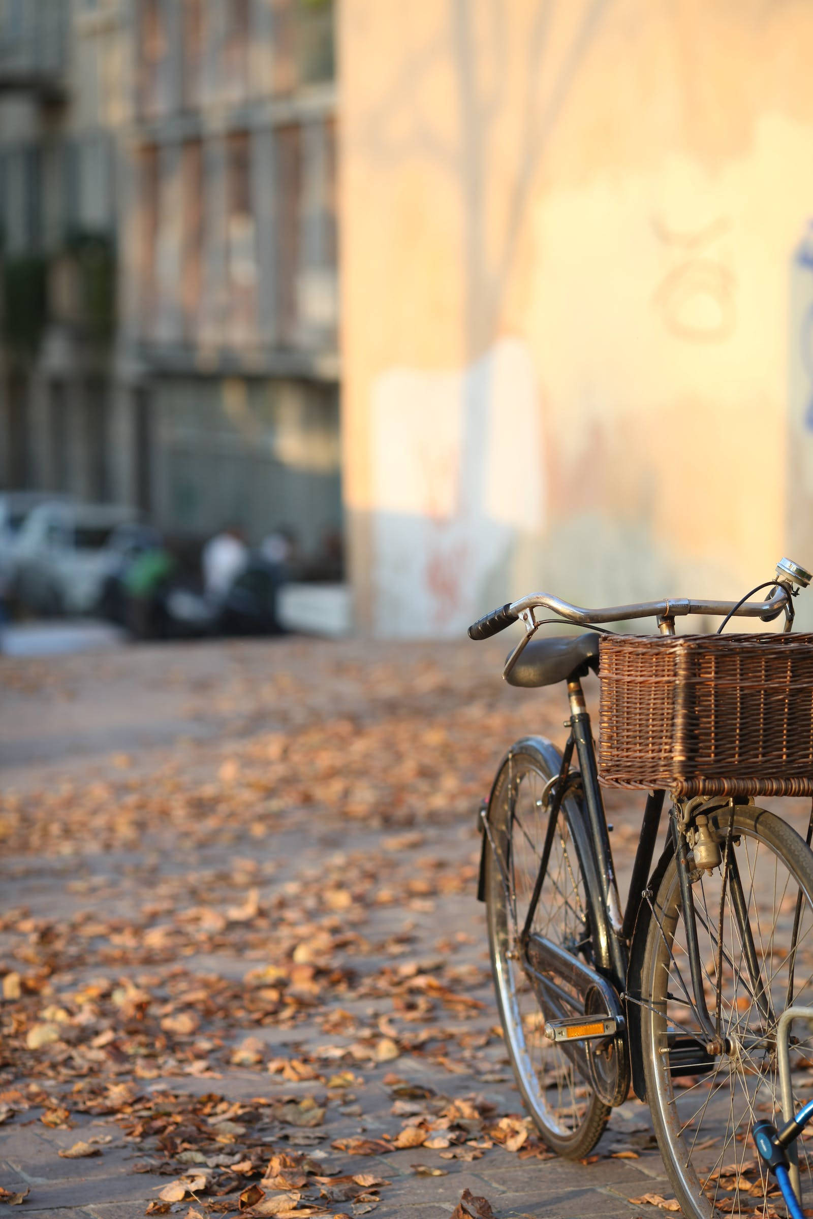 Rustic Fall, vintage bicycle, wicker basket, Full HD Phone Wallpaper