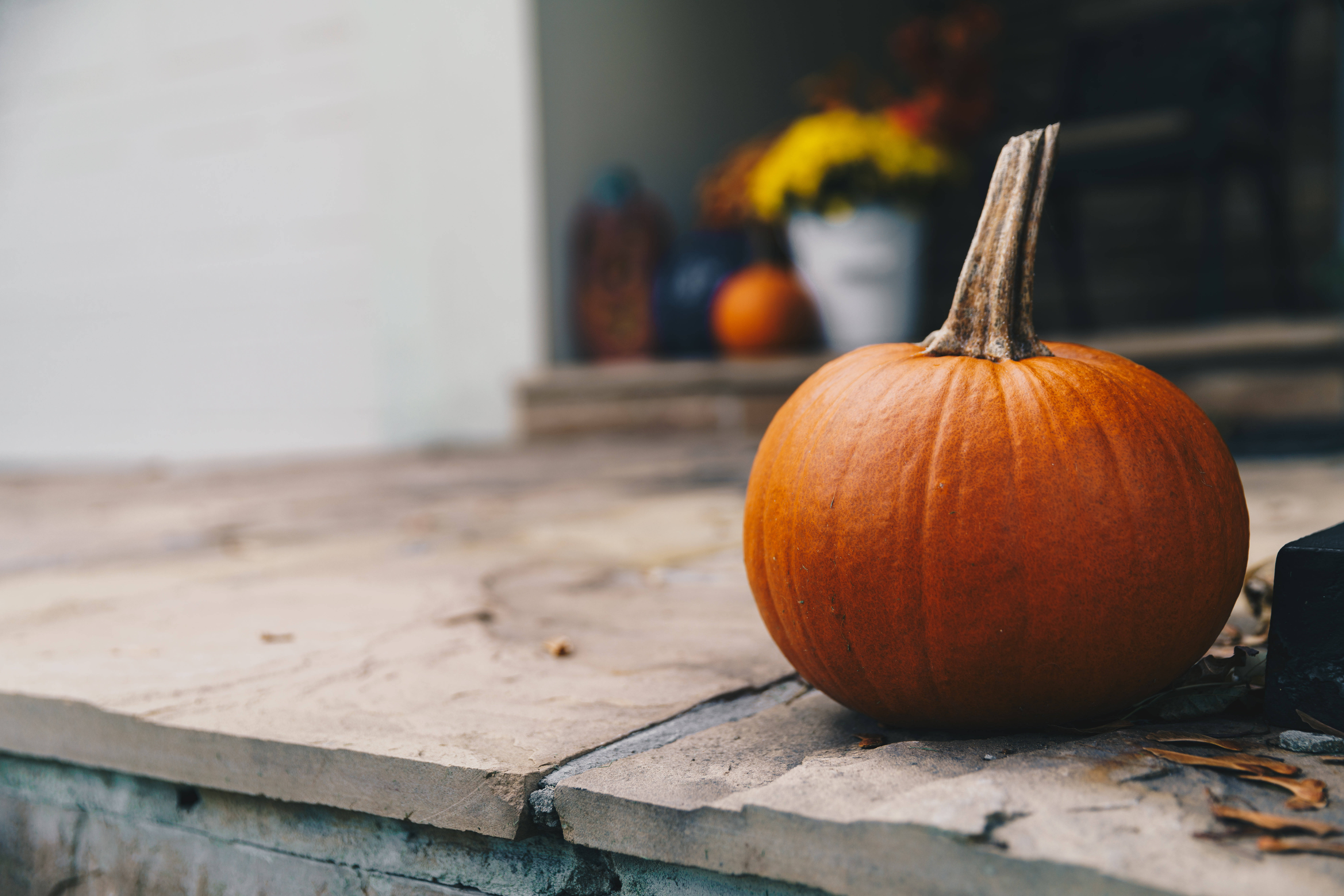 small rustic fall pumpkin, orange pumpkin, weathered stone step, 8K Desktop Wallpaper