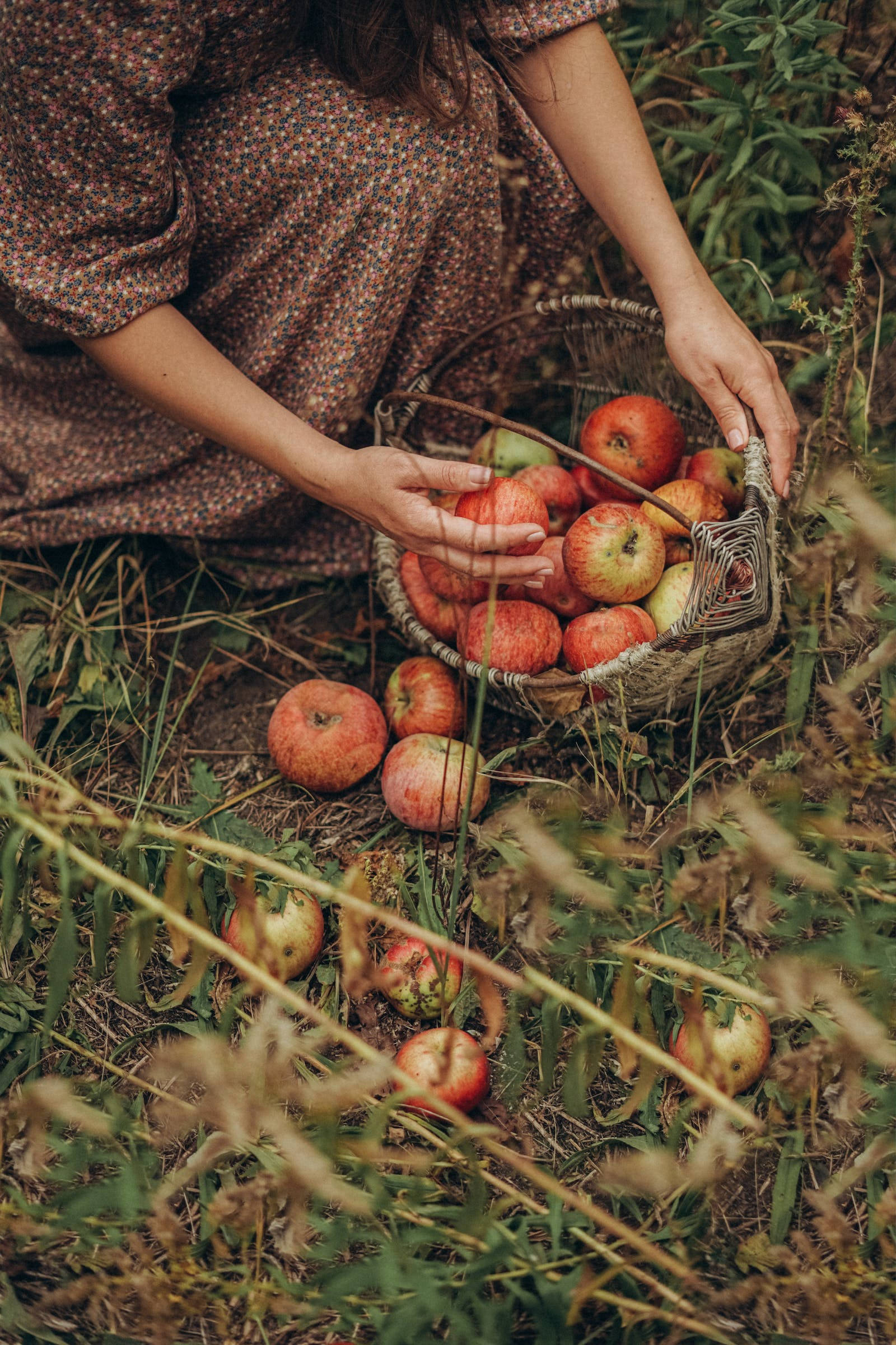 Rustic Fall, floral dress, ripe red apples, Full HD Phone Wallpaper