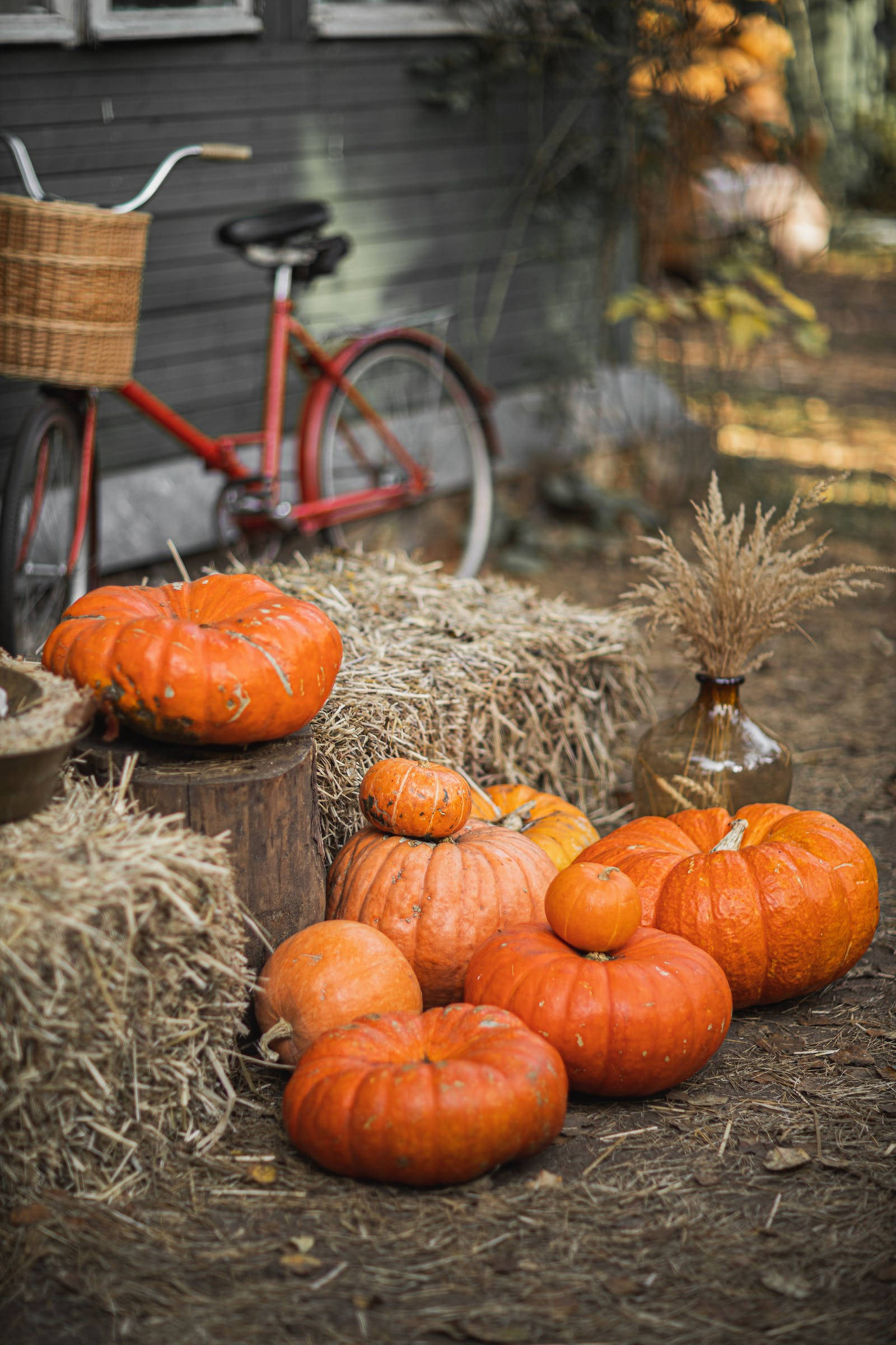 Rustic Fall, pumpkins, hay bales, Full HD Phone Wallpaper
