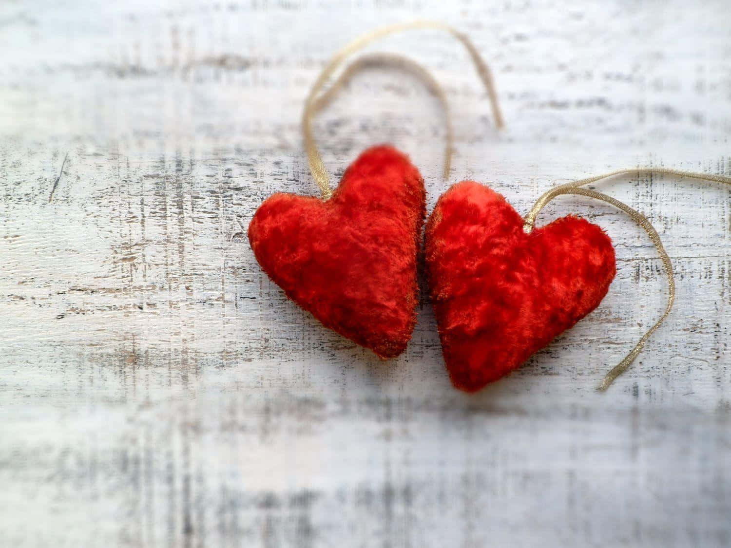 Rustic Valentine Day, plush red hearts, twine, HD Desktop Wallpaper