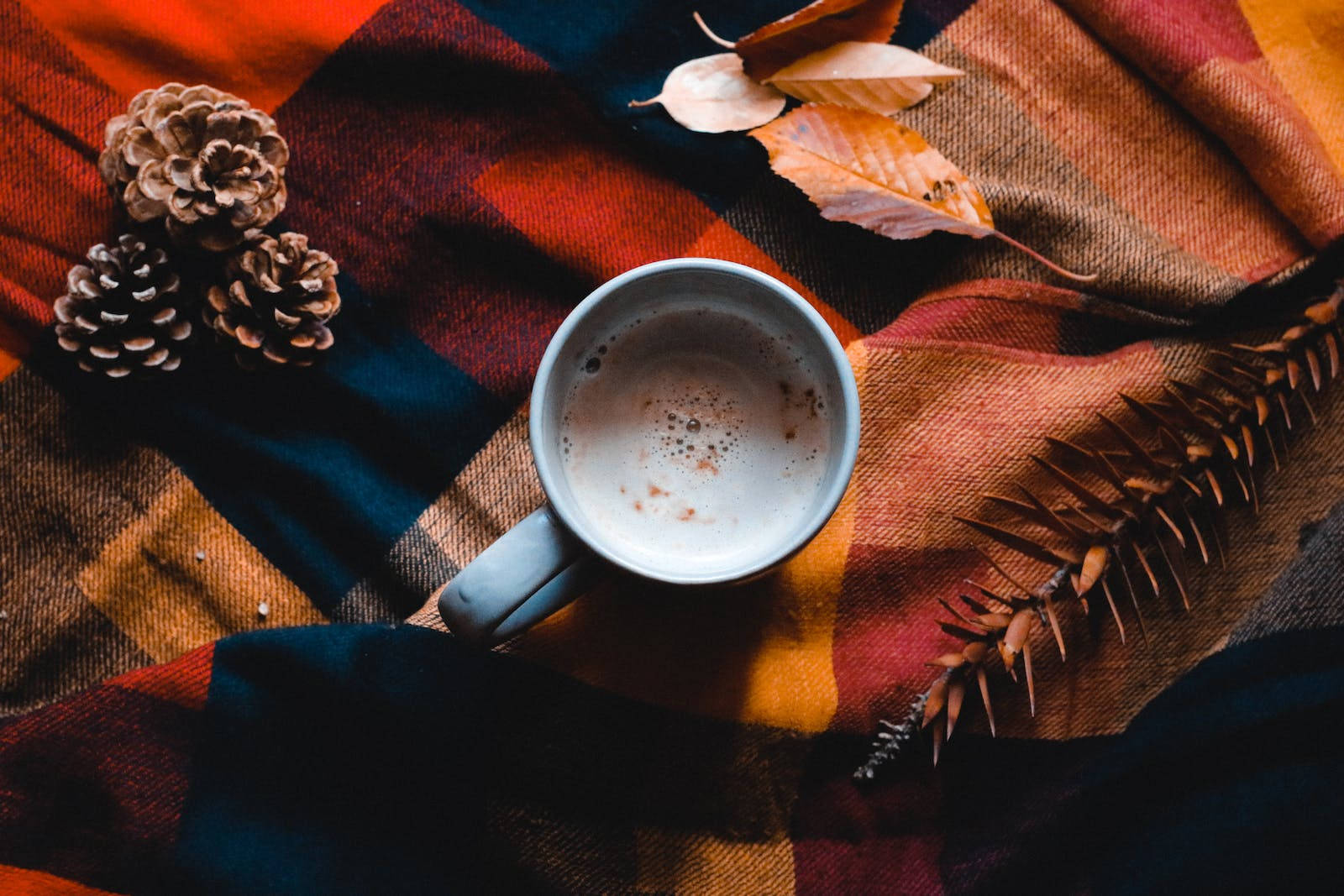hot cocoa, plaid blanket, pinecones, HD Desktop Wallpaper