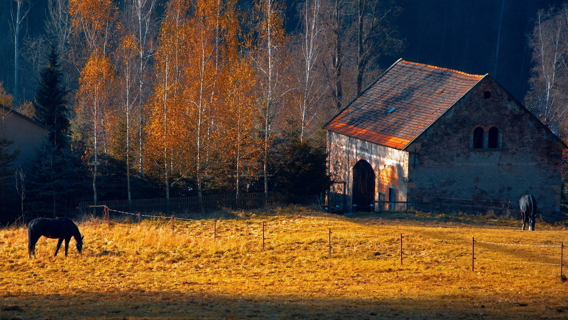 rustic stone barn, grazing horses, golden autumn light, Full HD Desktop Wallpaper
