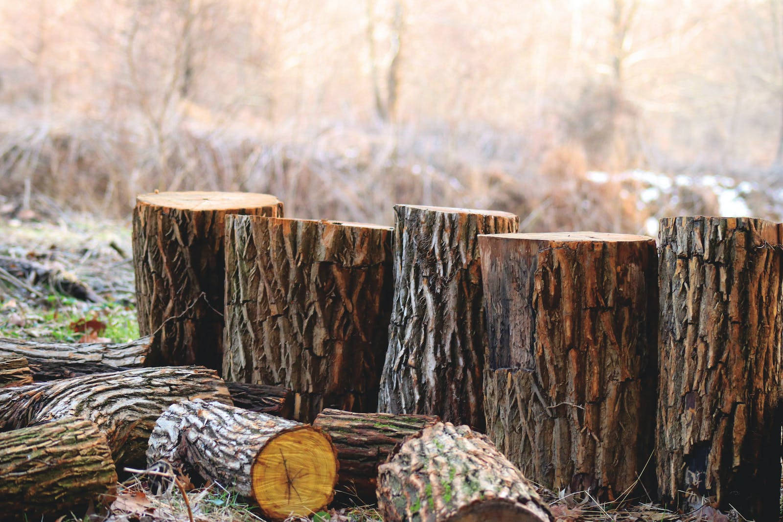 rustic, fall, wood logs, HD Desktop Wallpaper