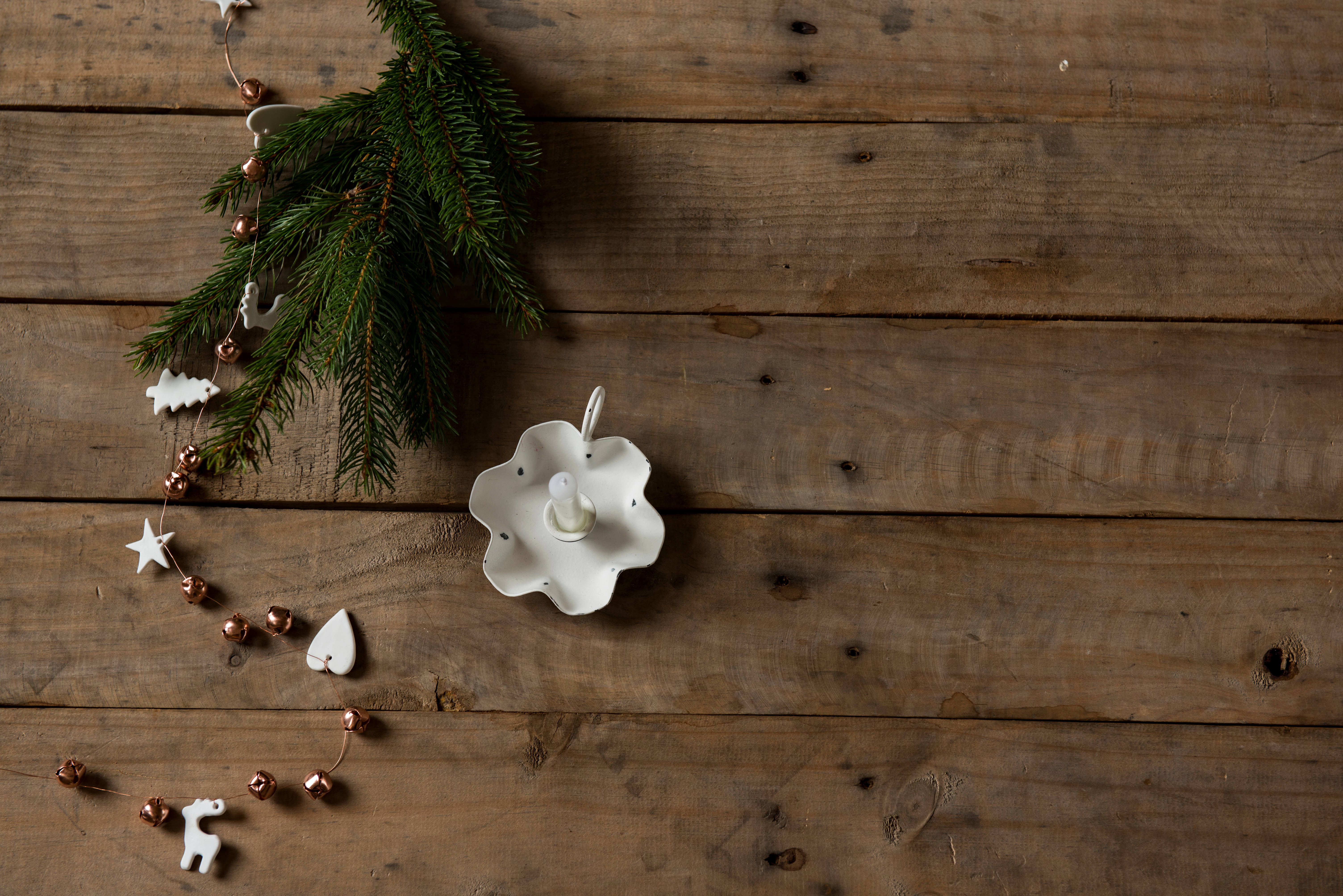 rustic, wooden surface, evergreen branches, 5K Desktop Wallpaper