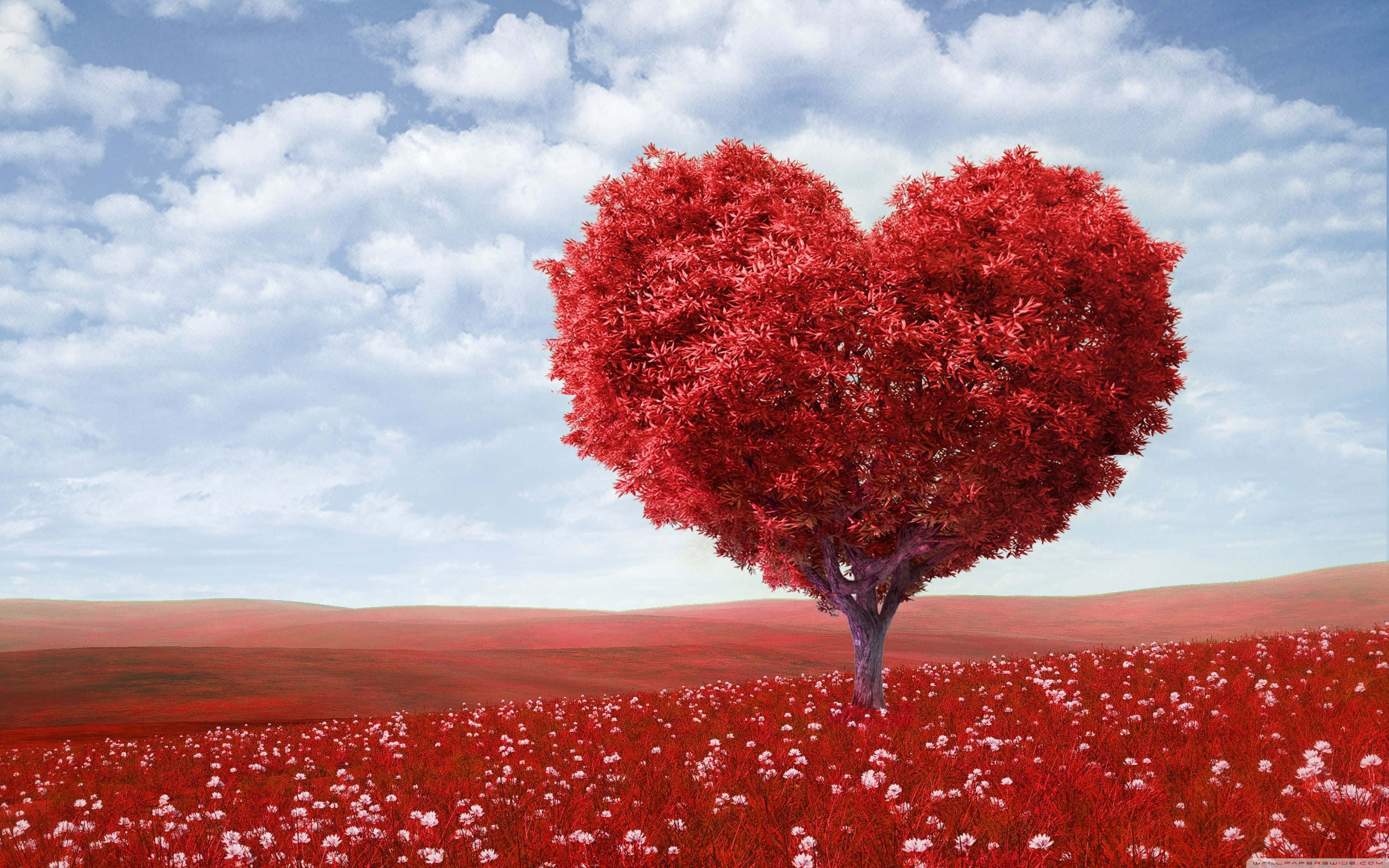 Rustic Valentine Day Tree Heart, heart-shaped tree, vibrant red leaves, 4K Desktop Wallpaper