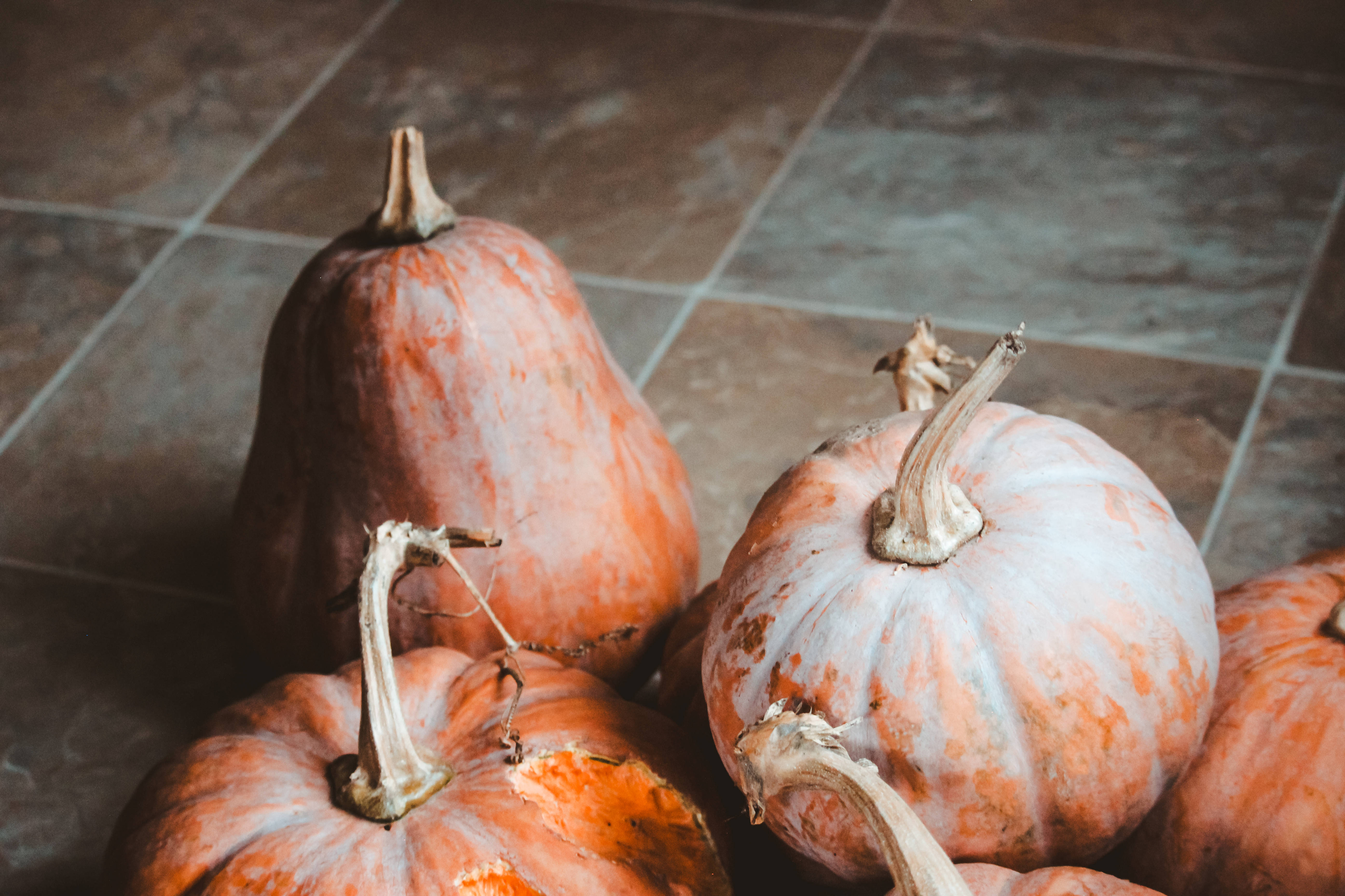rustic, fall pumpkins, orange and white mottled skin, 5K Desktop Wallpaper