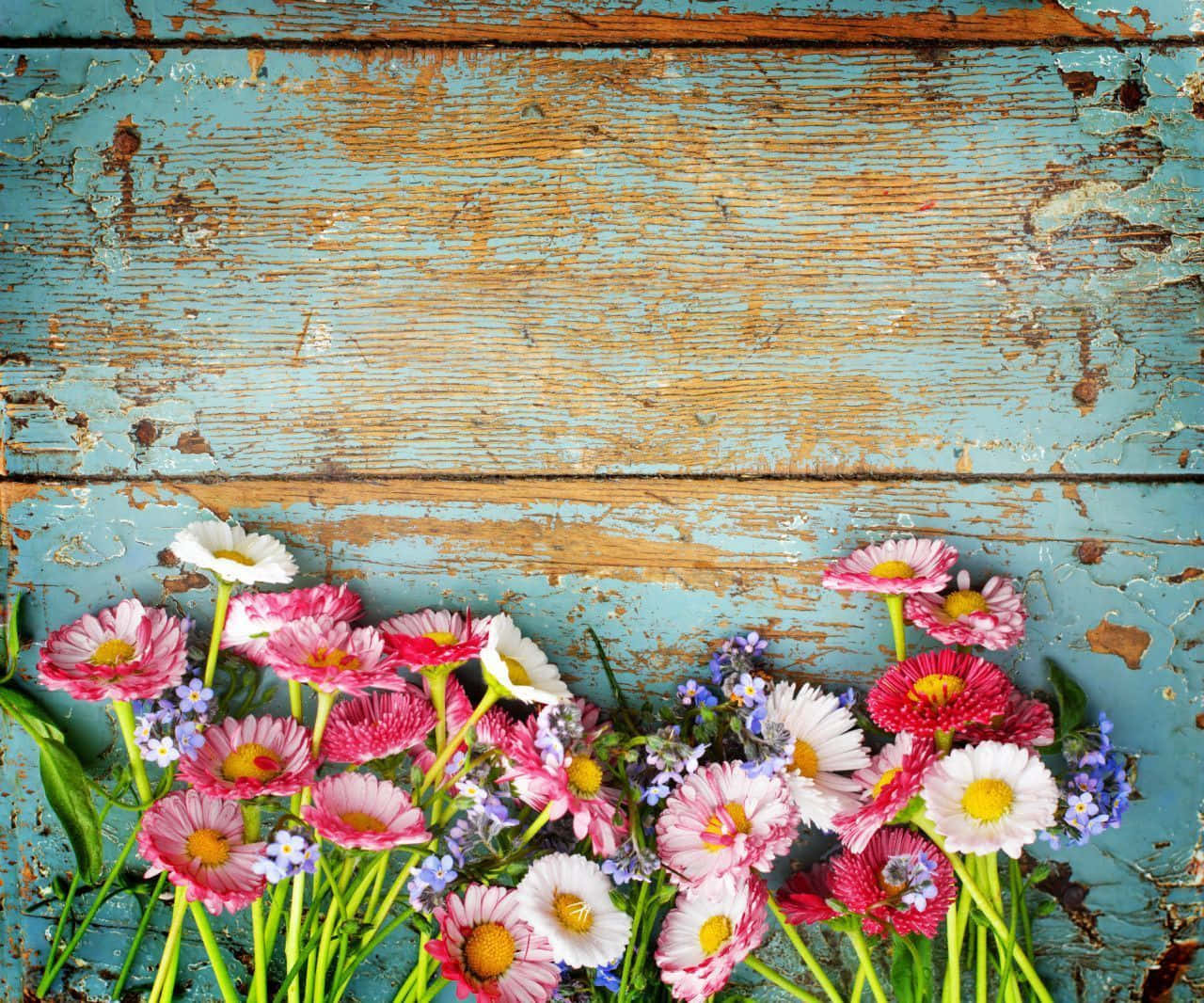 rustic blue floor wallpaper, vibrant pink, white, HD Desktop Wallpaper