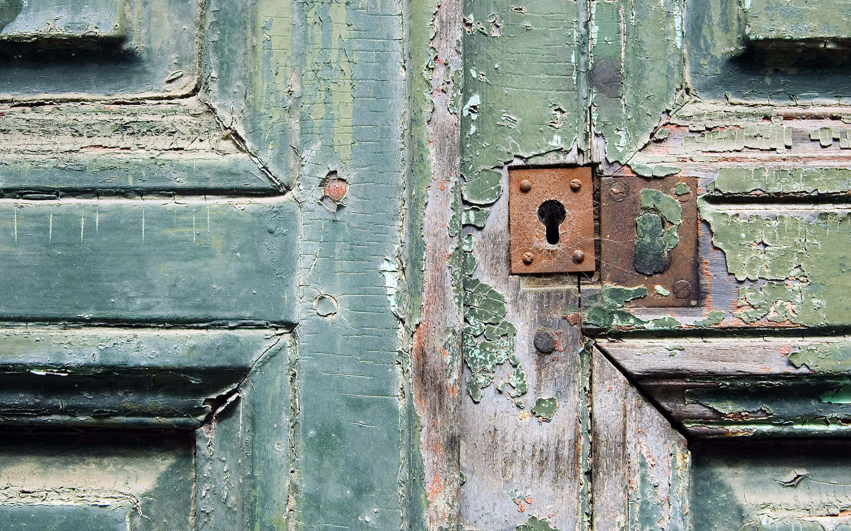 rustic, green wooden door, peeling paint, HD Desktop Wallpaper