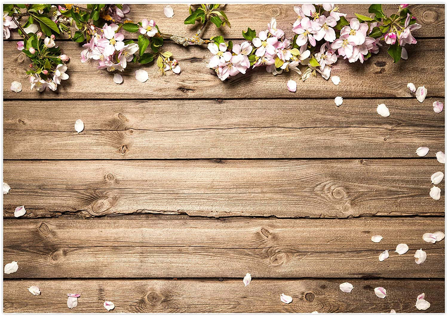 Rustic Board, pink cherry blossoms, petals, HD Desktop Wallpaper