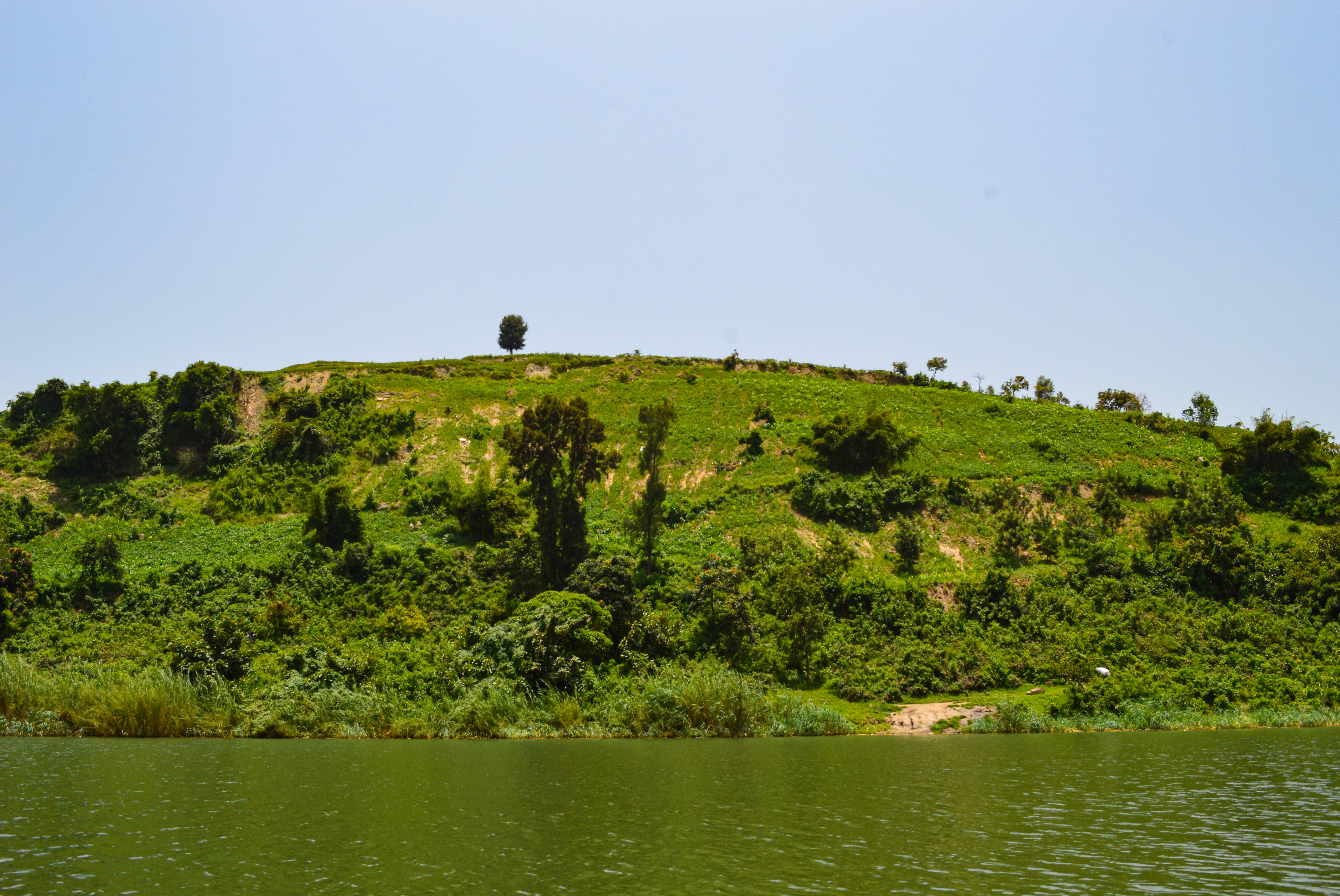 Rwanda, green hill, lush vegetation, 5K Desktop Wallpaper