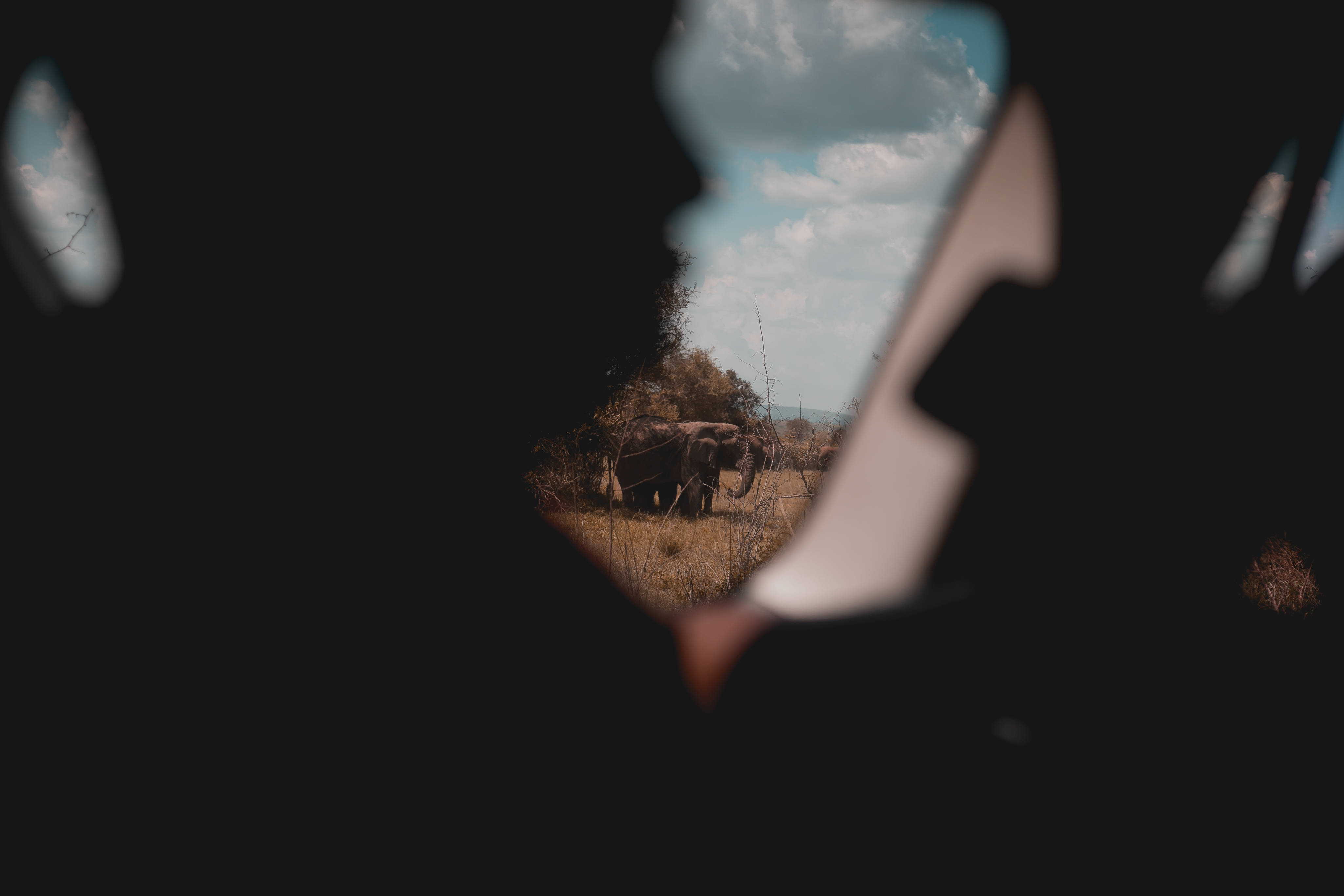 Rwanda, elephant, savanna, 4K Desktop Wallpaper