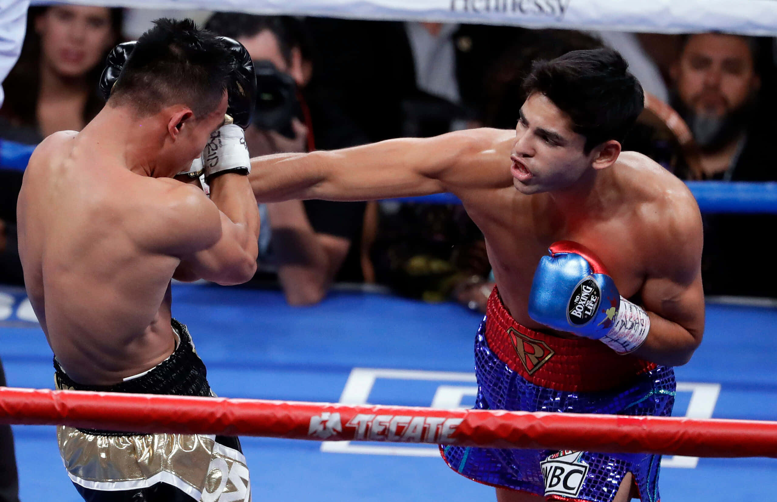 Ryan Garcia, boxing ring, arena lights, 2K Desktop Wallpaper