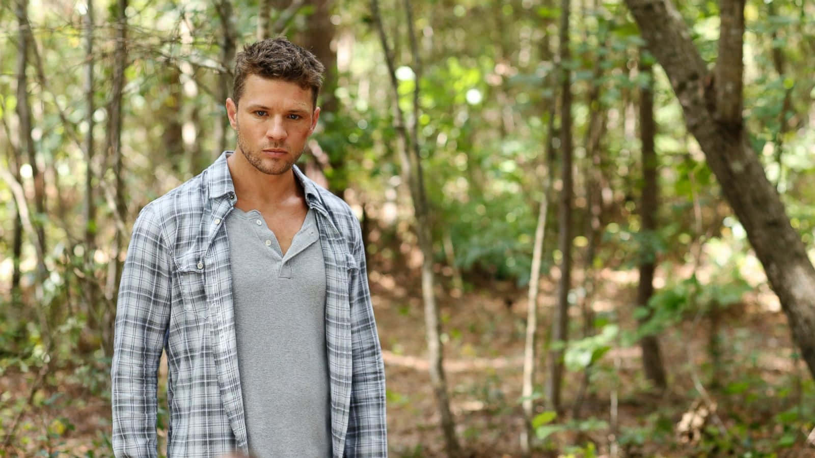 Ryan Phillippe, plaid shirt, sunlit forest, HD Desktop Wallpaper